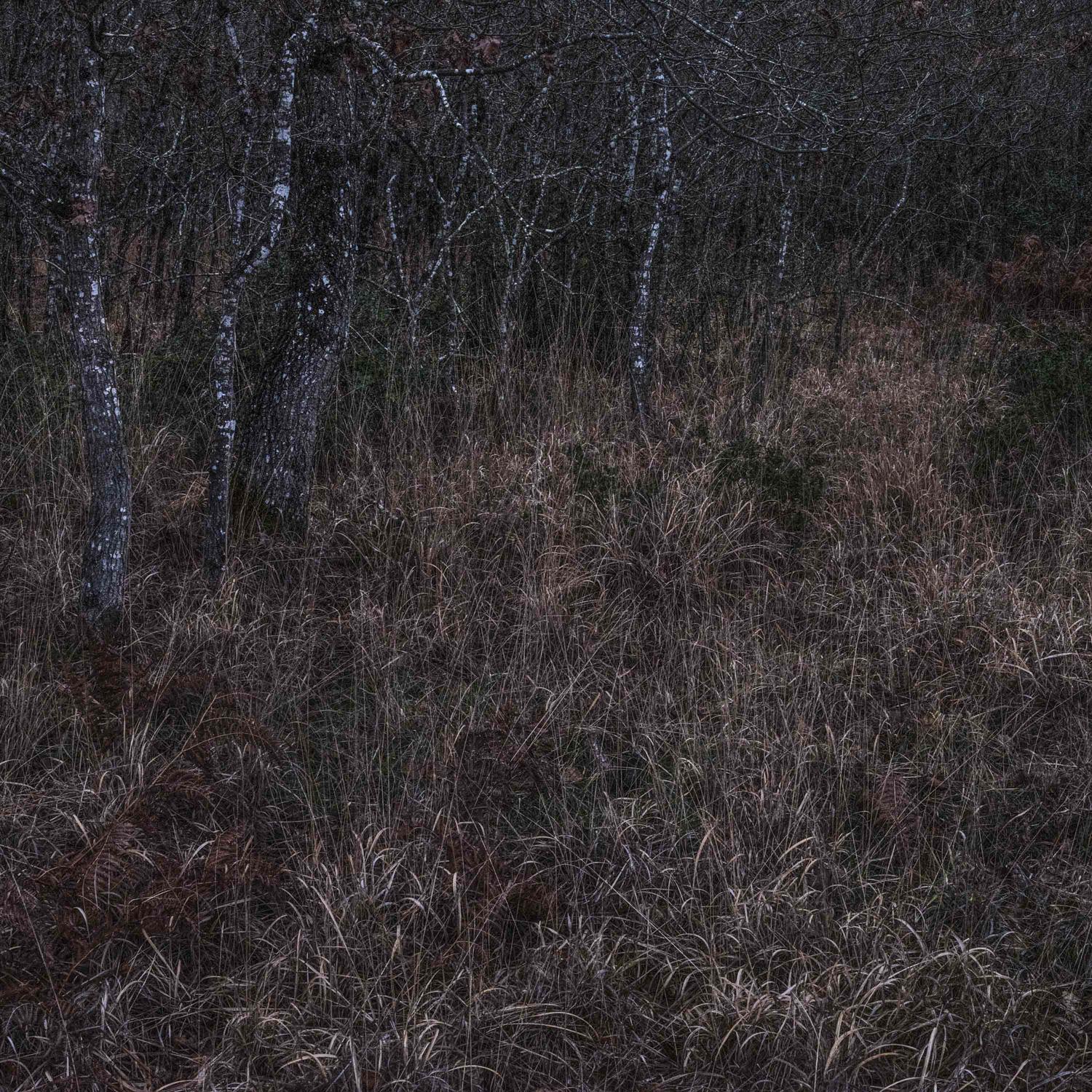 Promontoires du silence Didier Goupy