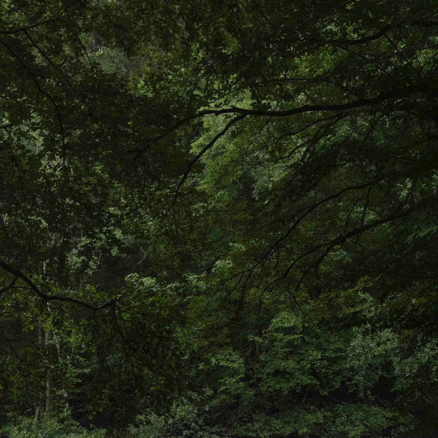 Promontoires du silence Didier Goupy