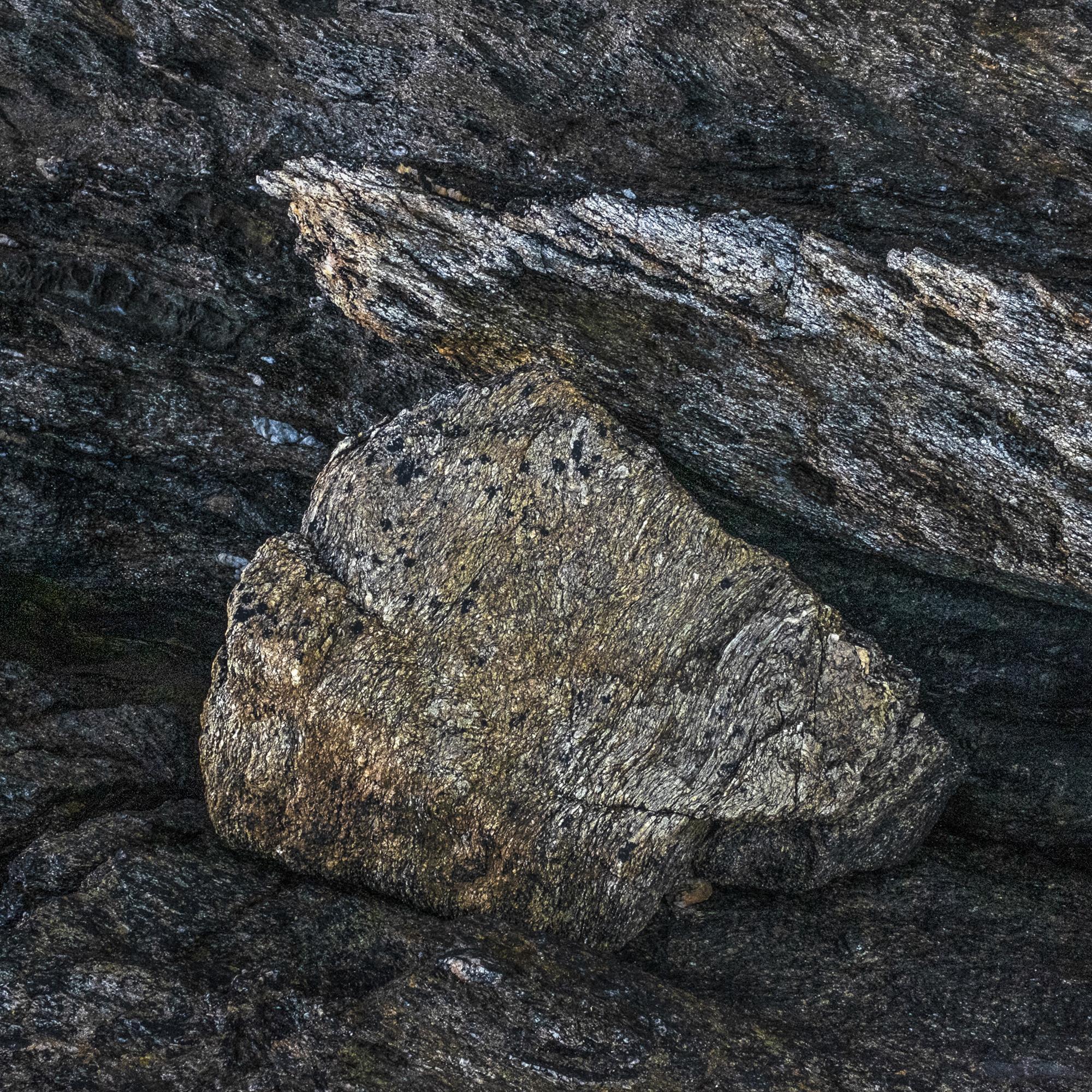 L'odyssée Didier Goupy