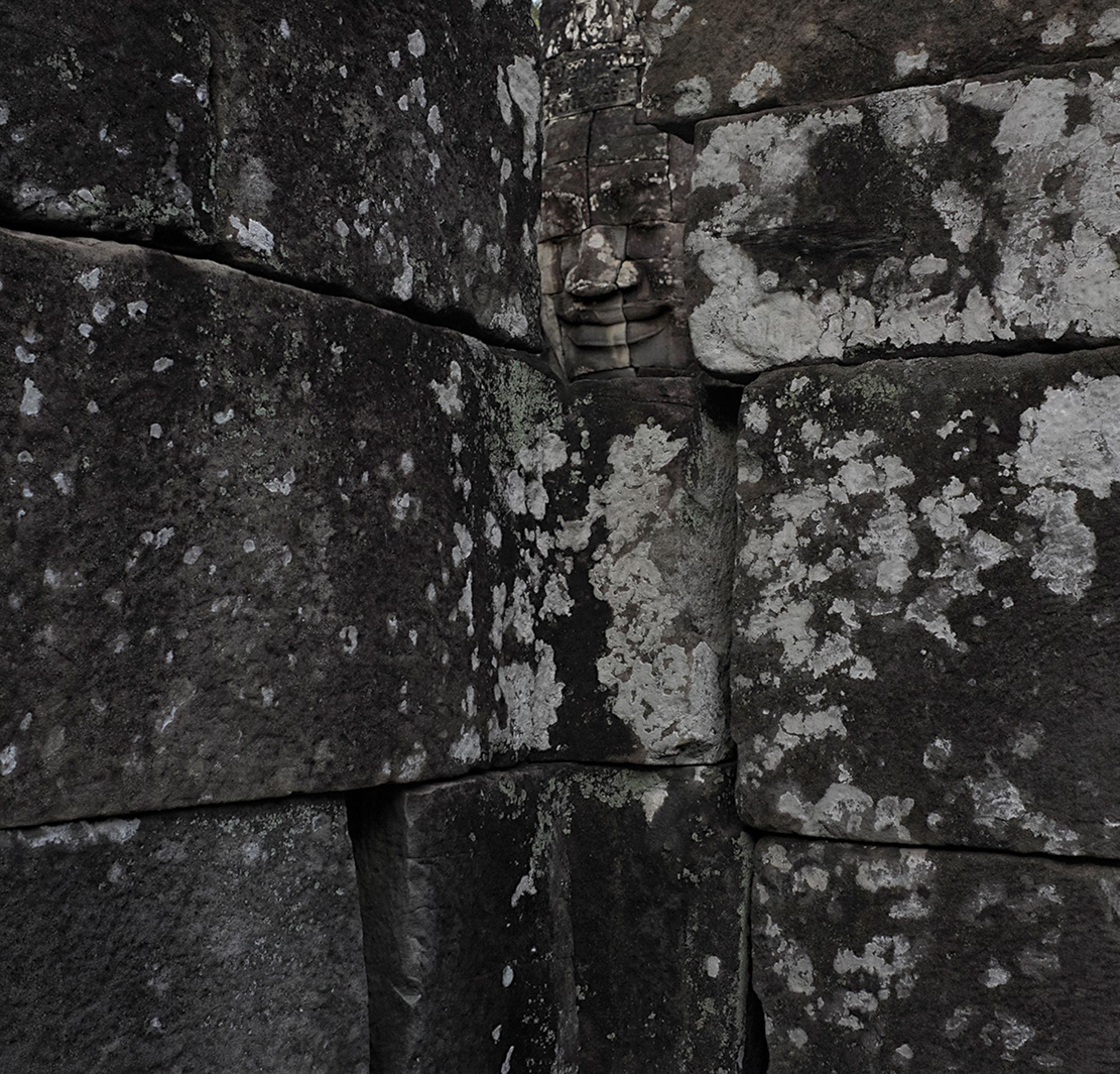 L'odyssée Didier Goupy