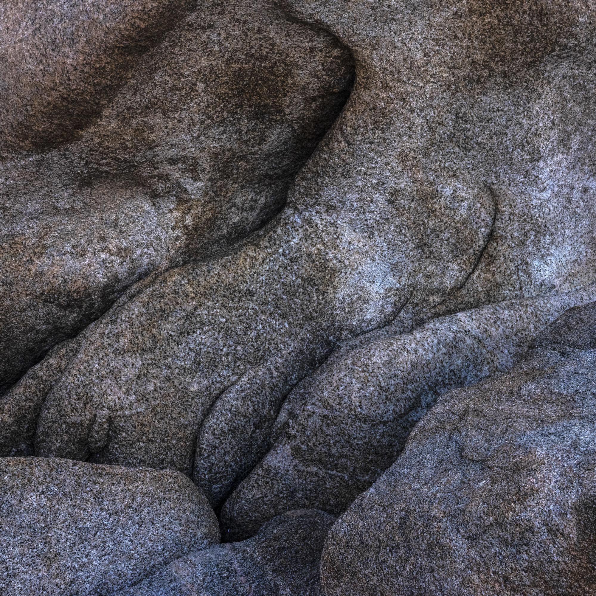 L'odyssée Didier Goupy