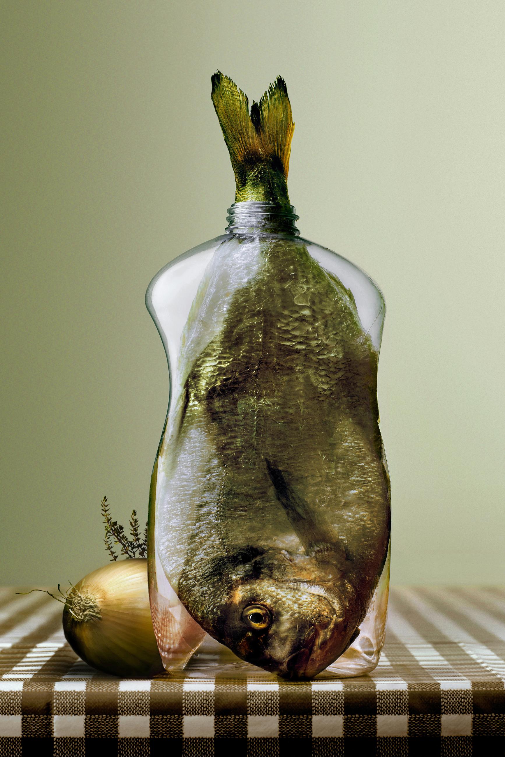 Embouteillages Ludovic Alussi