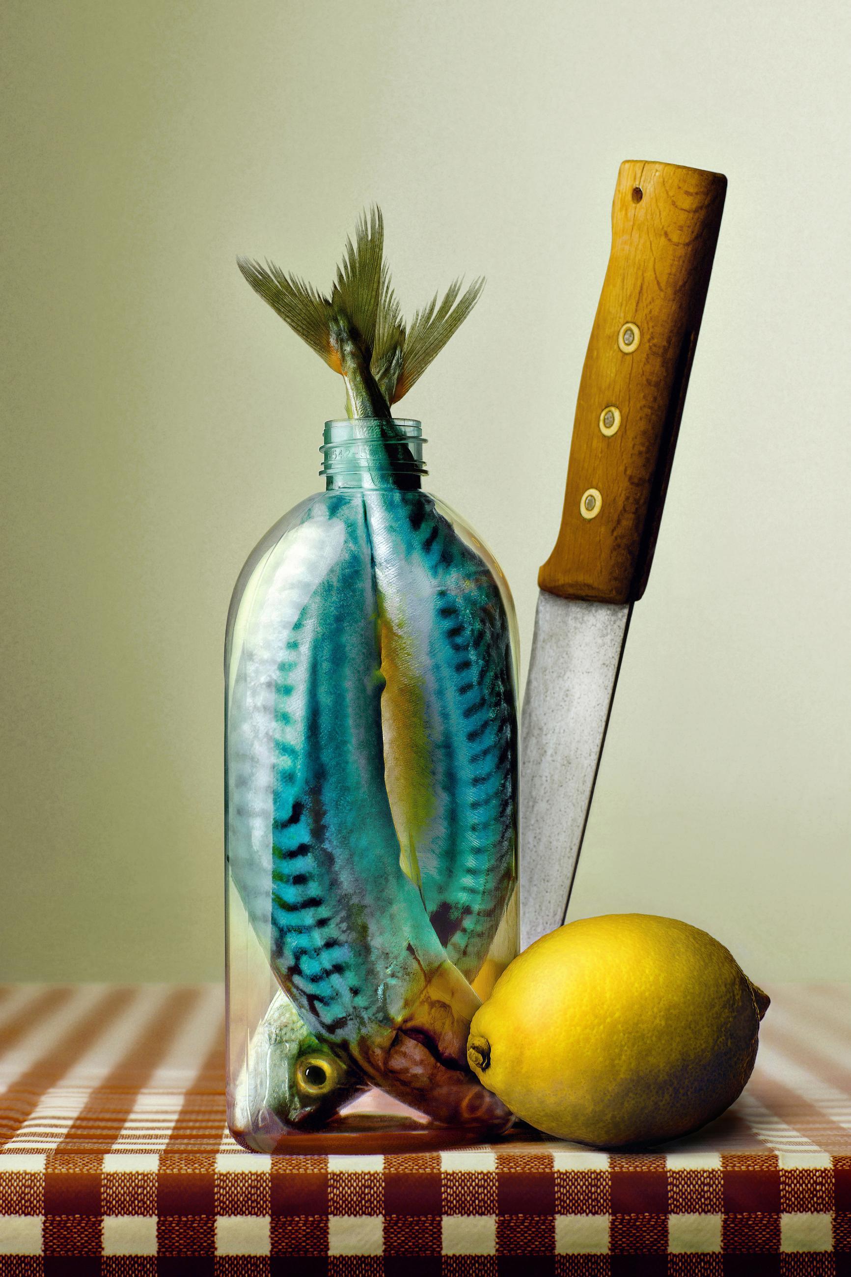 Embouteillages Ludovic Alussi