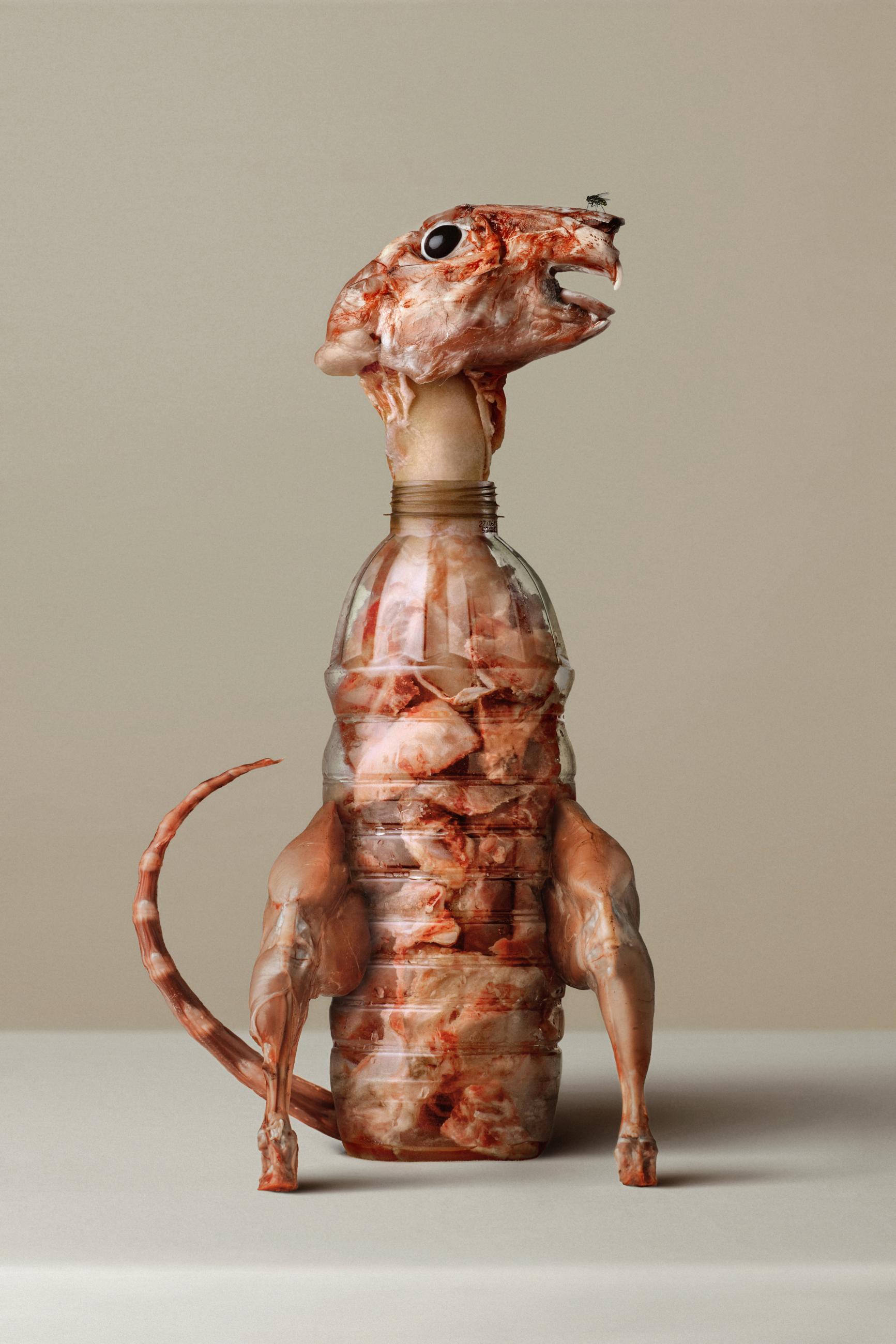 Embouteillages Ludovic Alussi