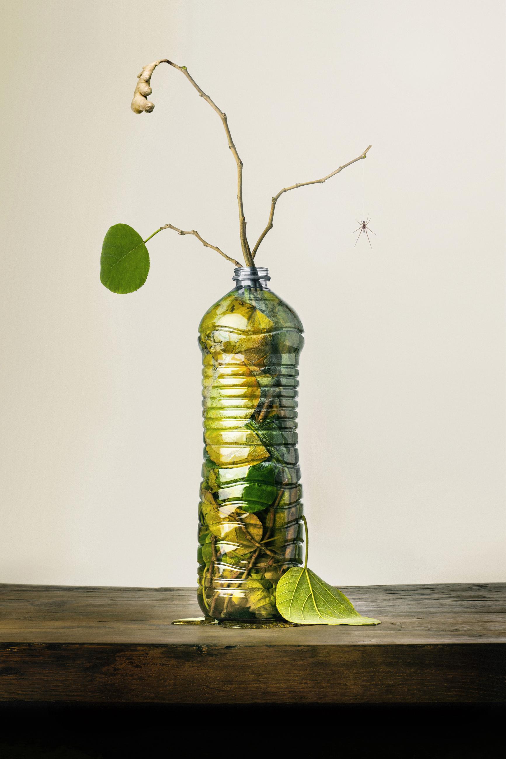 Embouteillages Ludovic Alussi