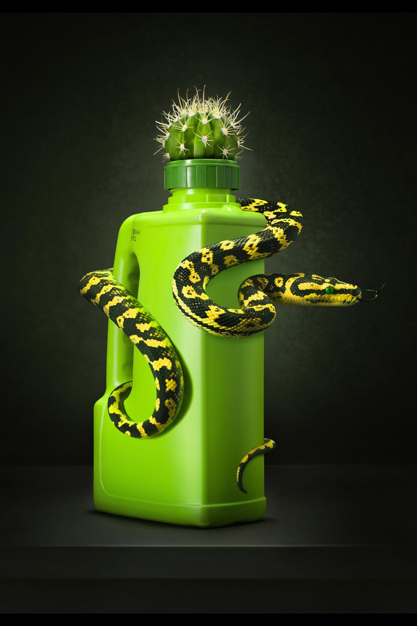 Embouteillages Ludovic Alussi