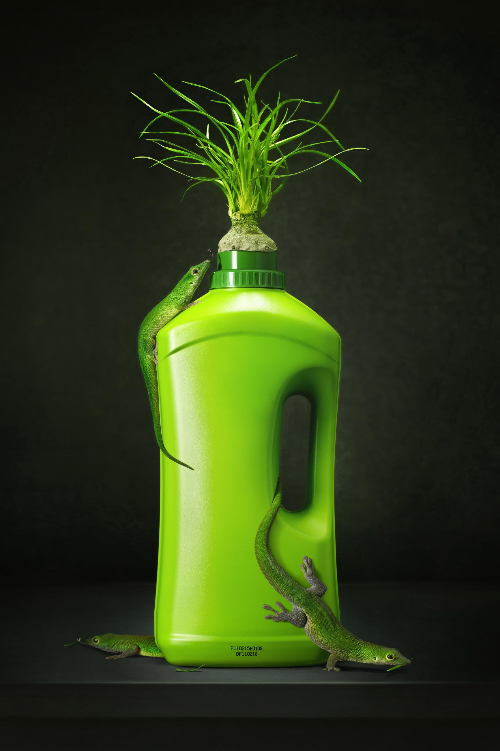 Embouteillages Ludovic Alussi