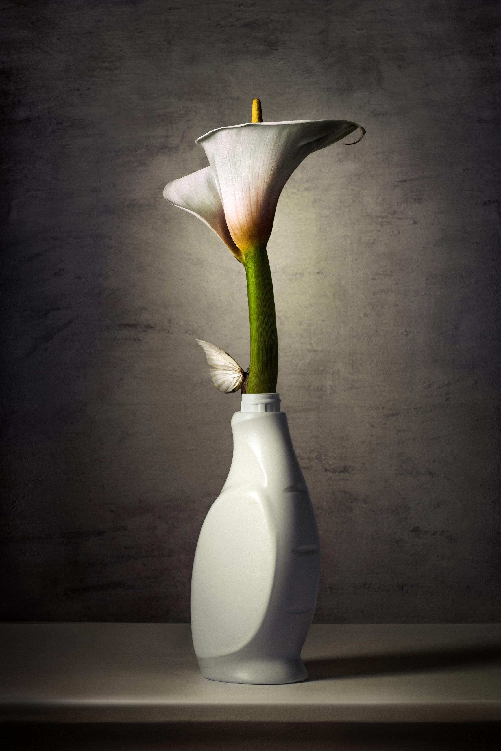 Embouteillages Ludovic Alussi