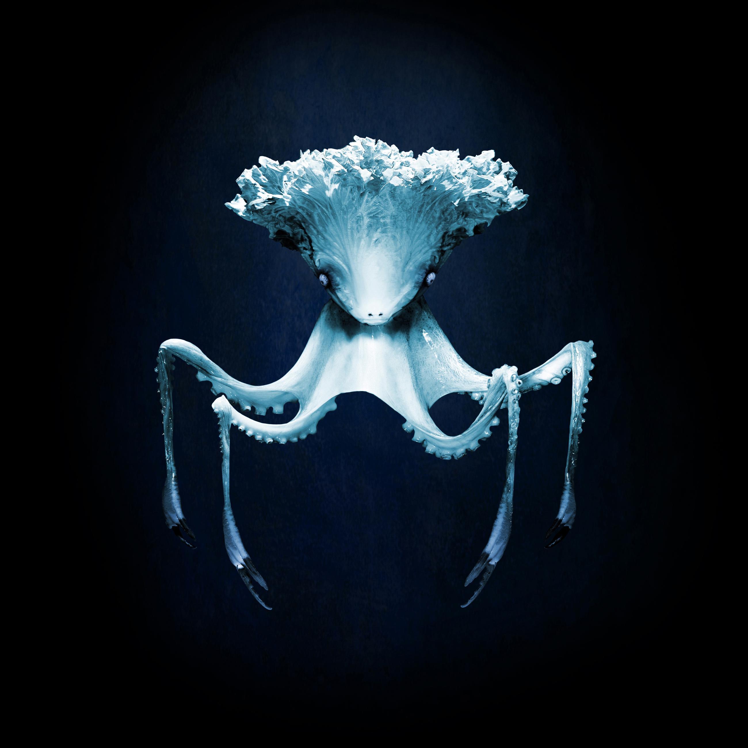 Mutants Ludovic Alussi