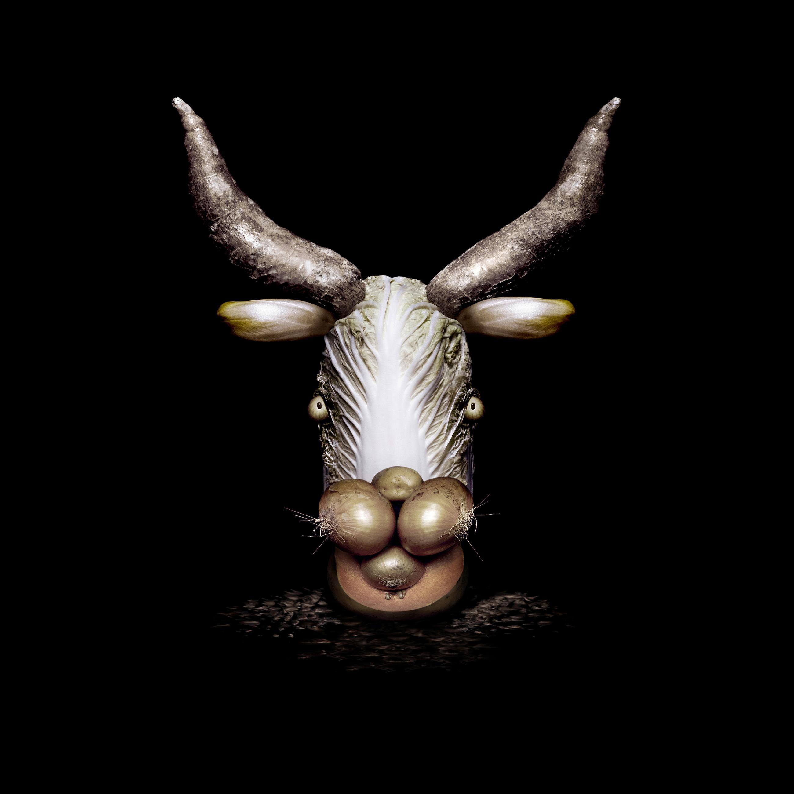 Mutants Ludovic Alussi