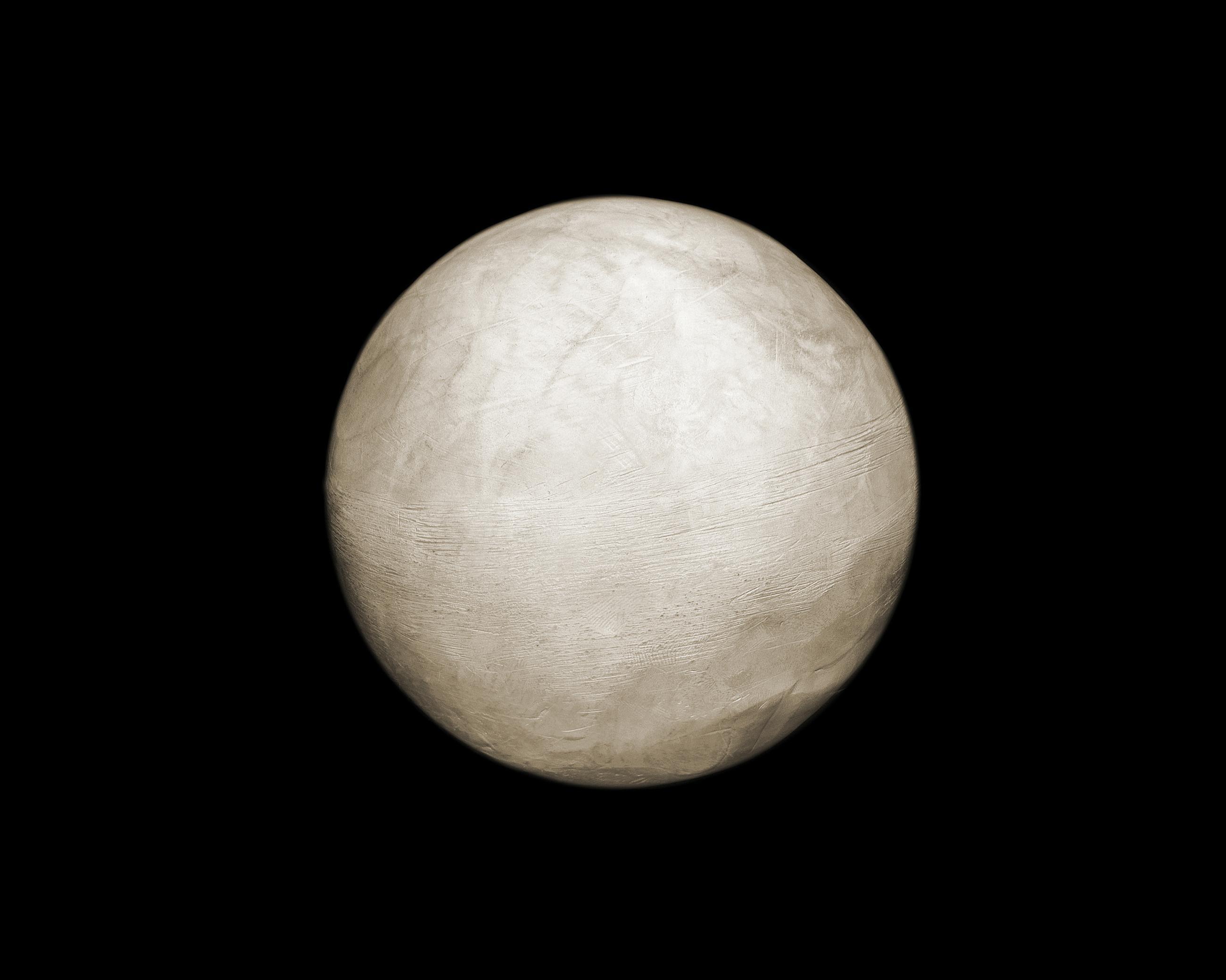 Entre les barbelés Ludovic Alussi