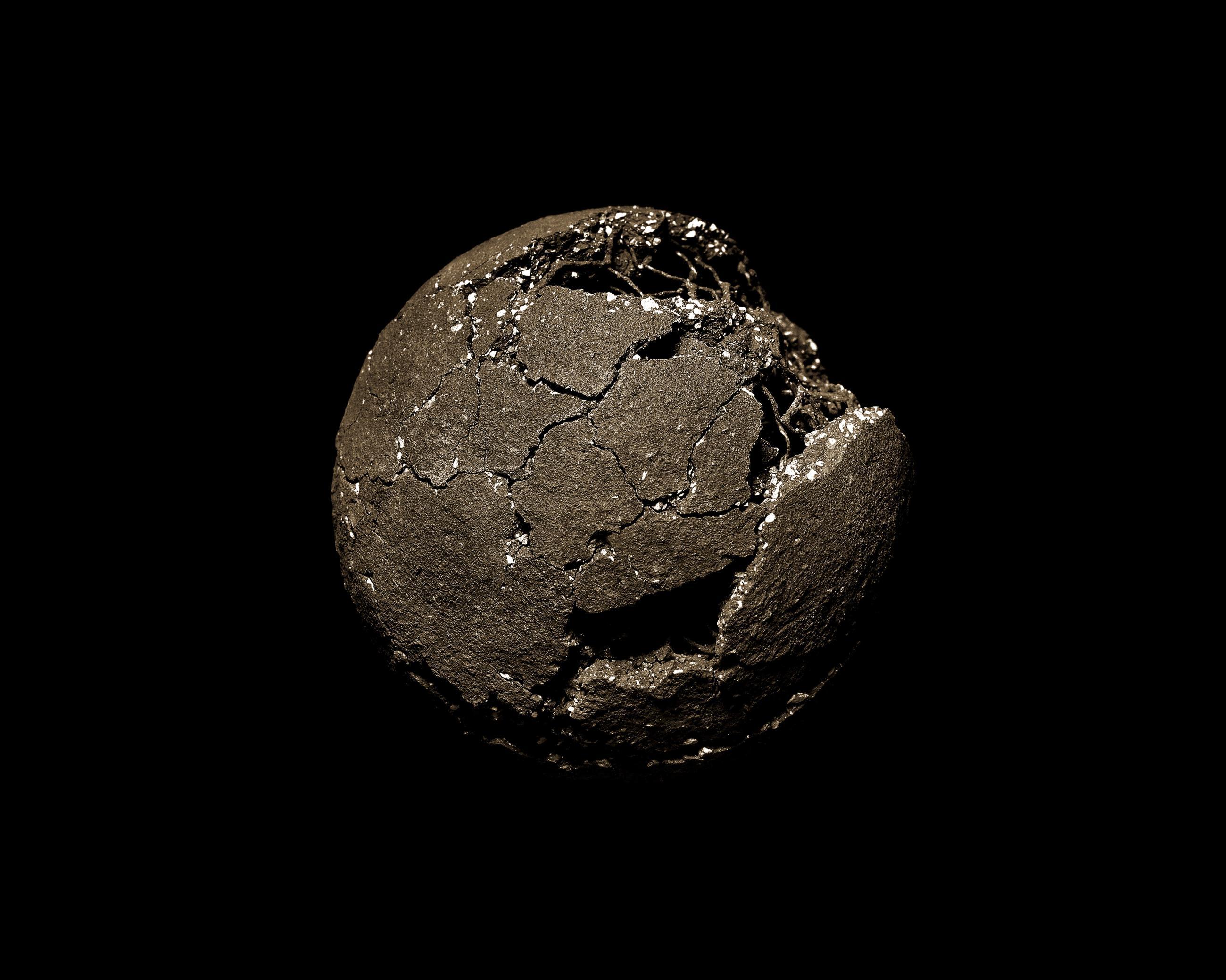 Entre les barbelés Ludovic Alussi