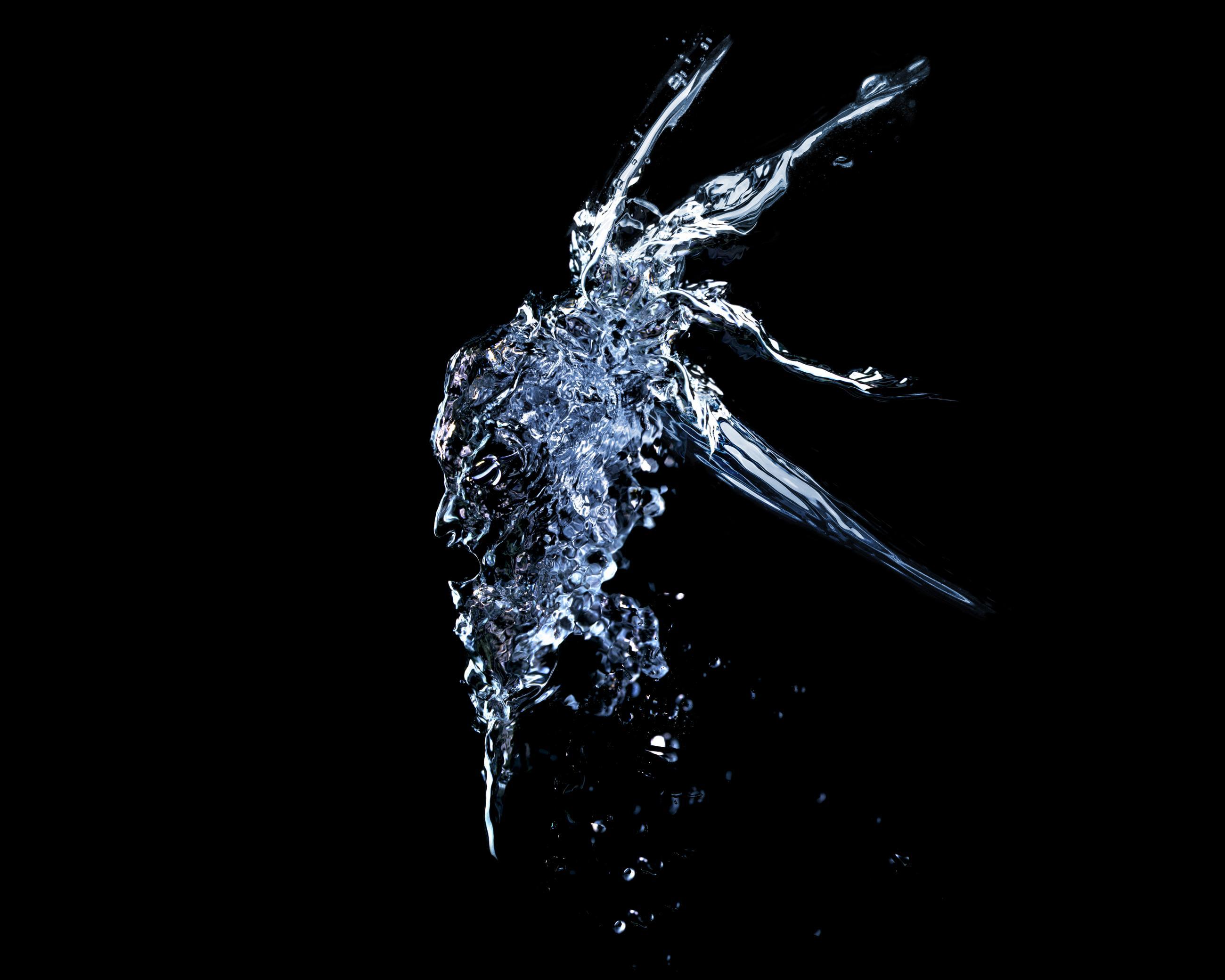 Entre les barbelés Ludovic Alussi