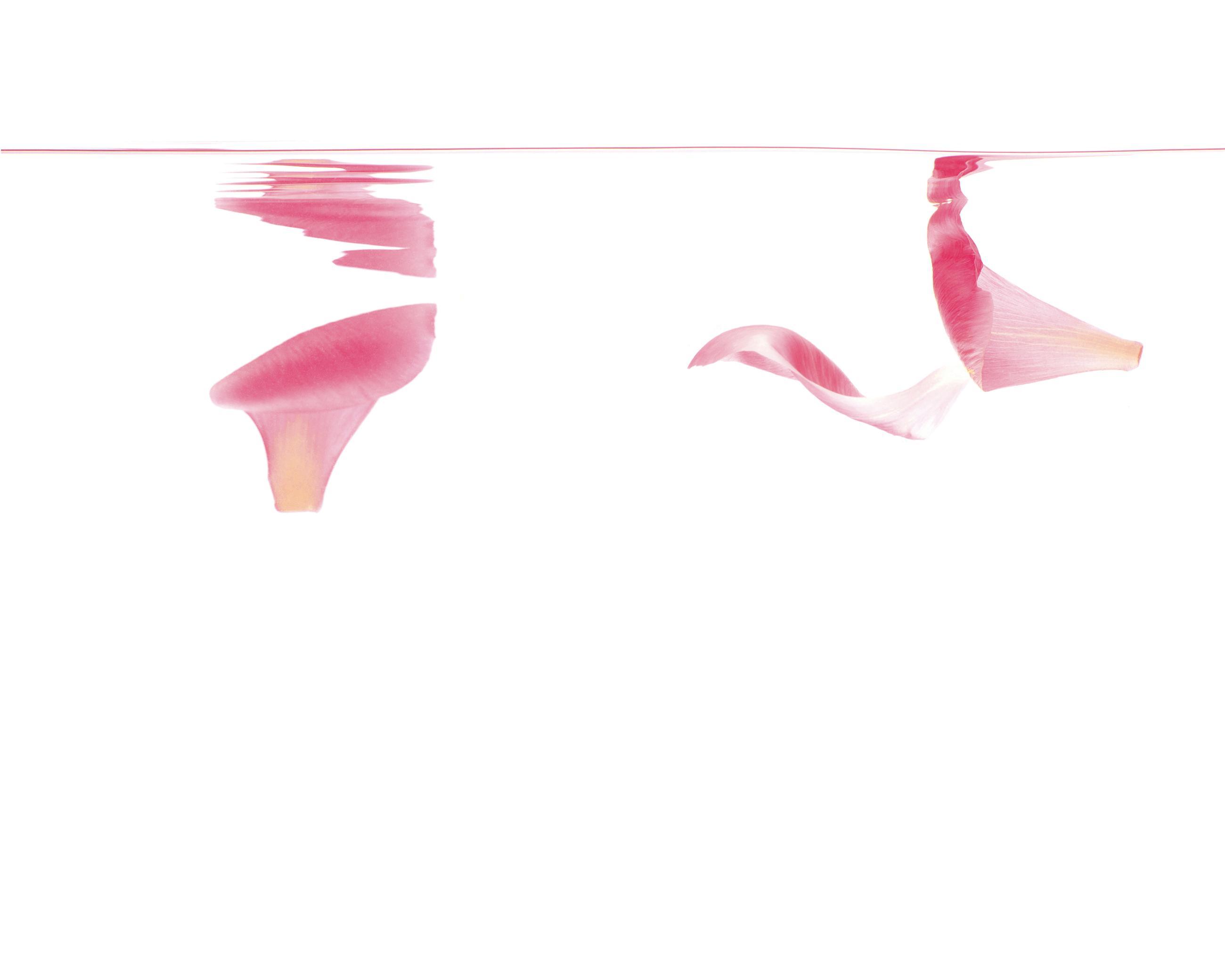 Matières Ludocic Alussi