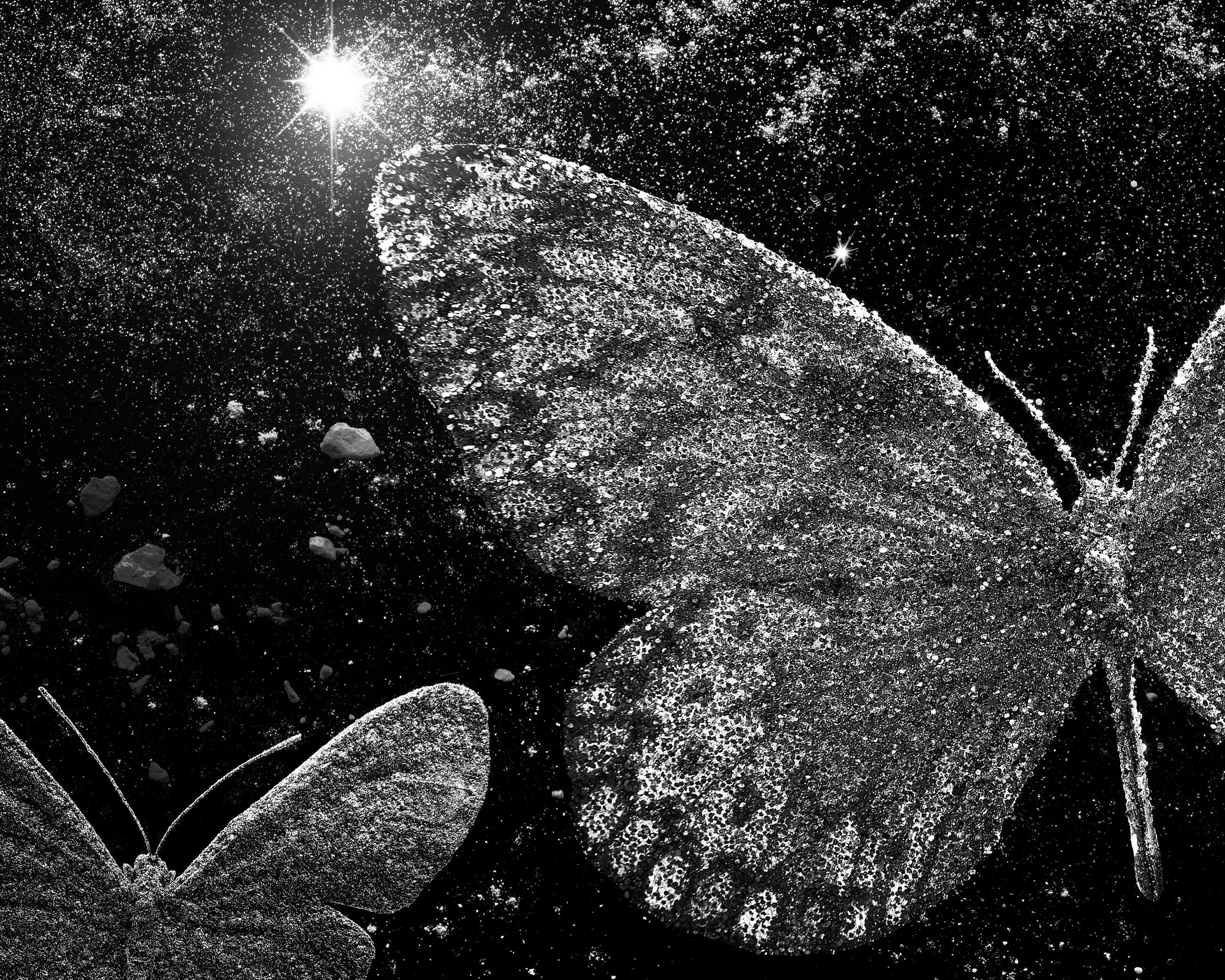 Matières Ludocic Alussi