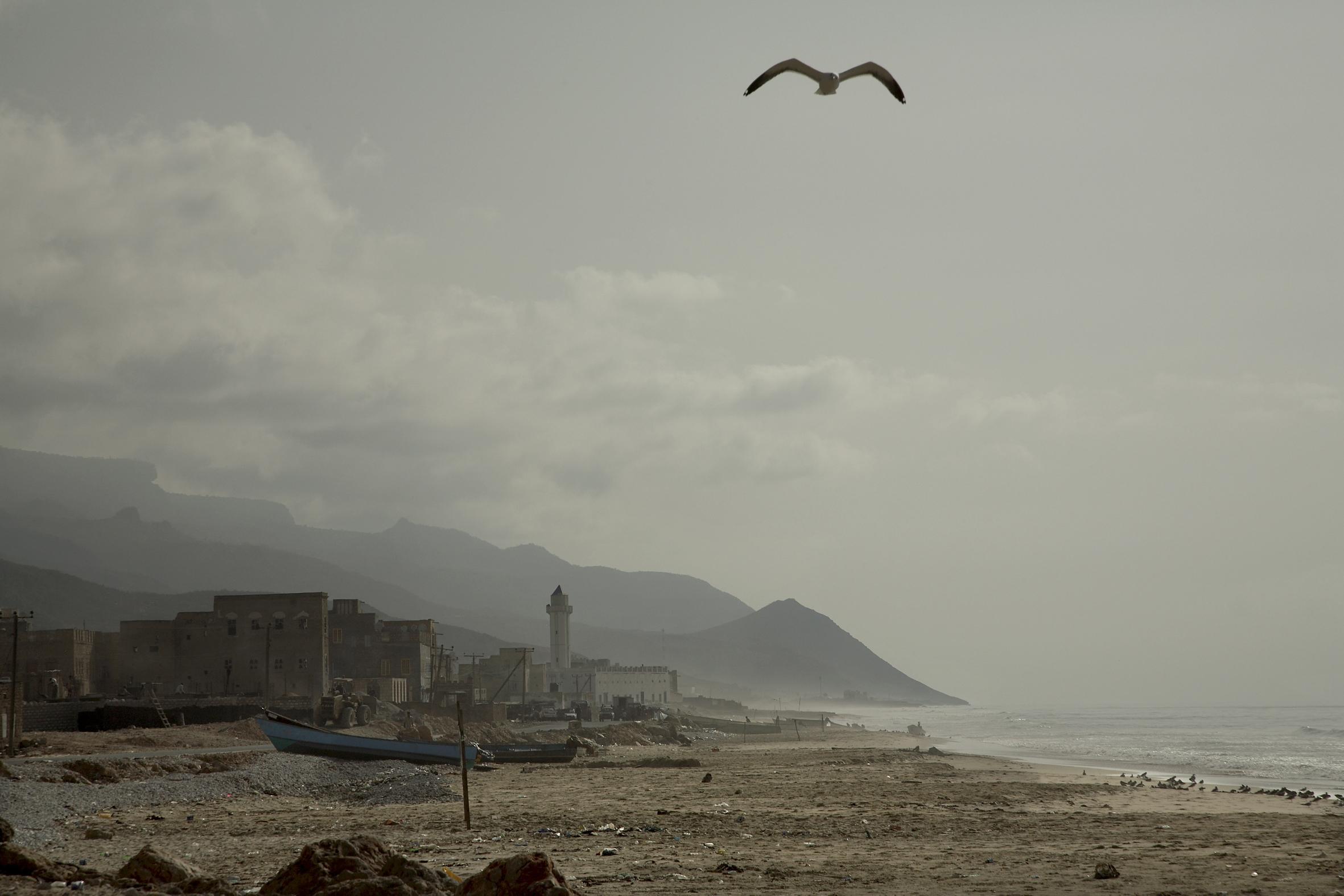 Yémen 2024 2006 Xavier Lambours