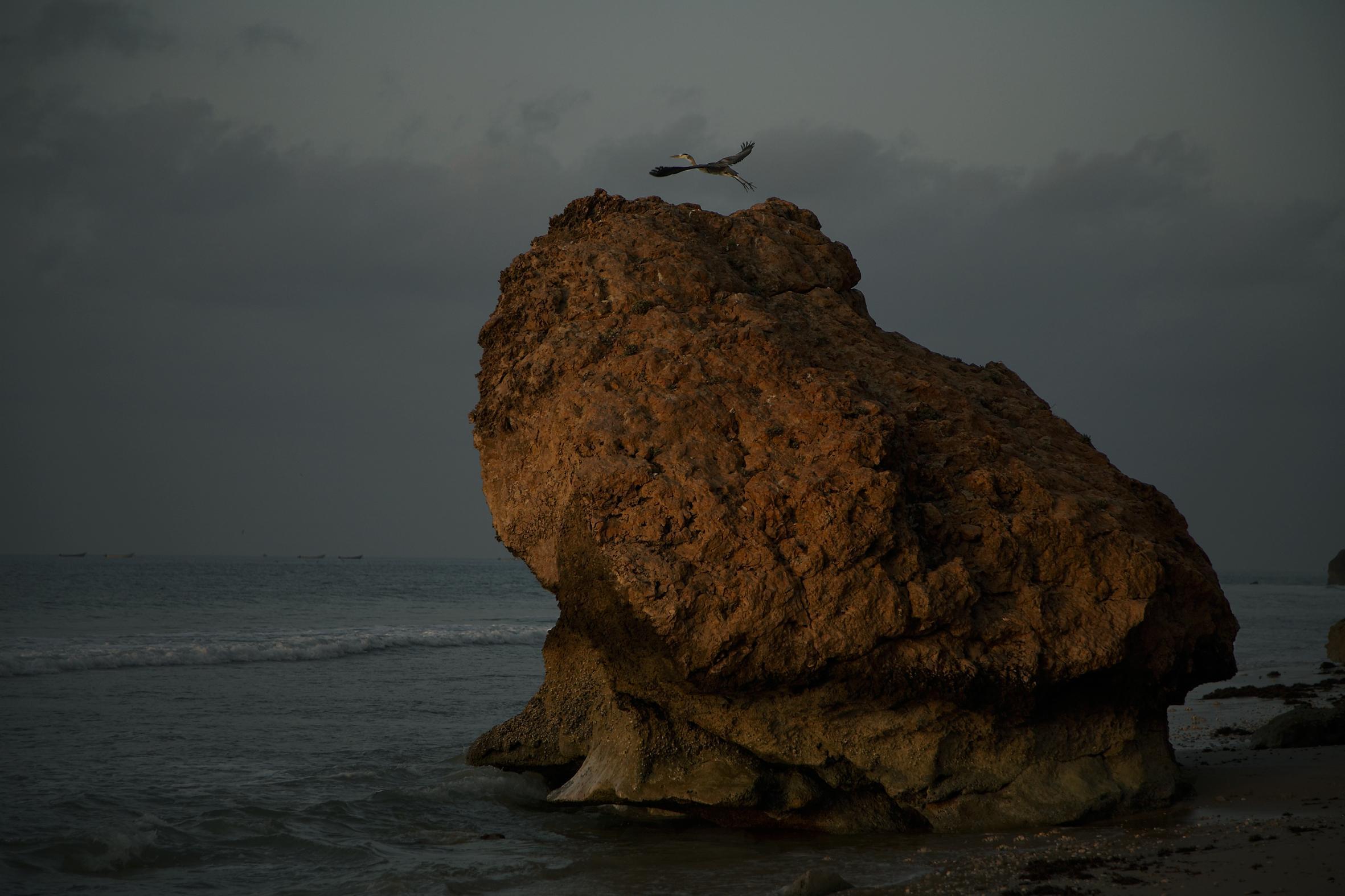 Yémen 2024 2006 Xavier Lambours