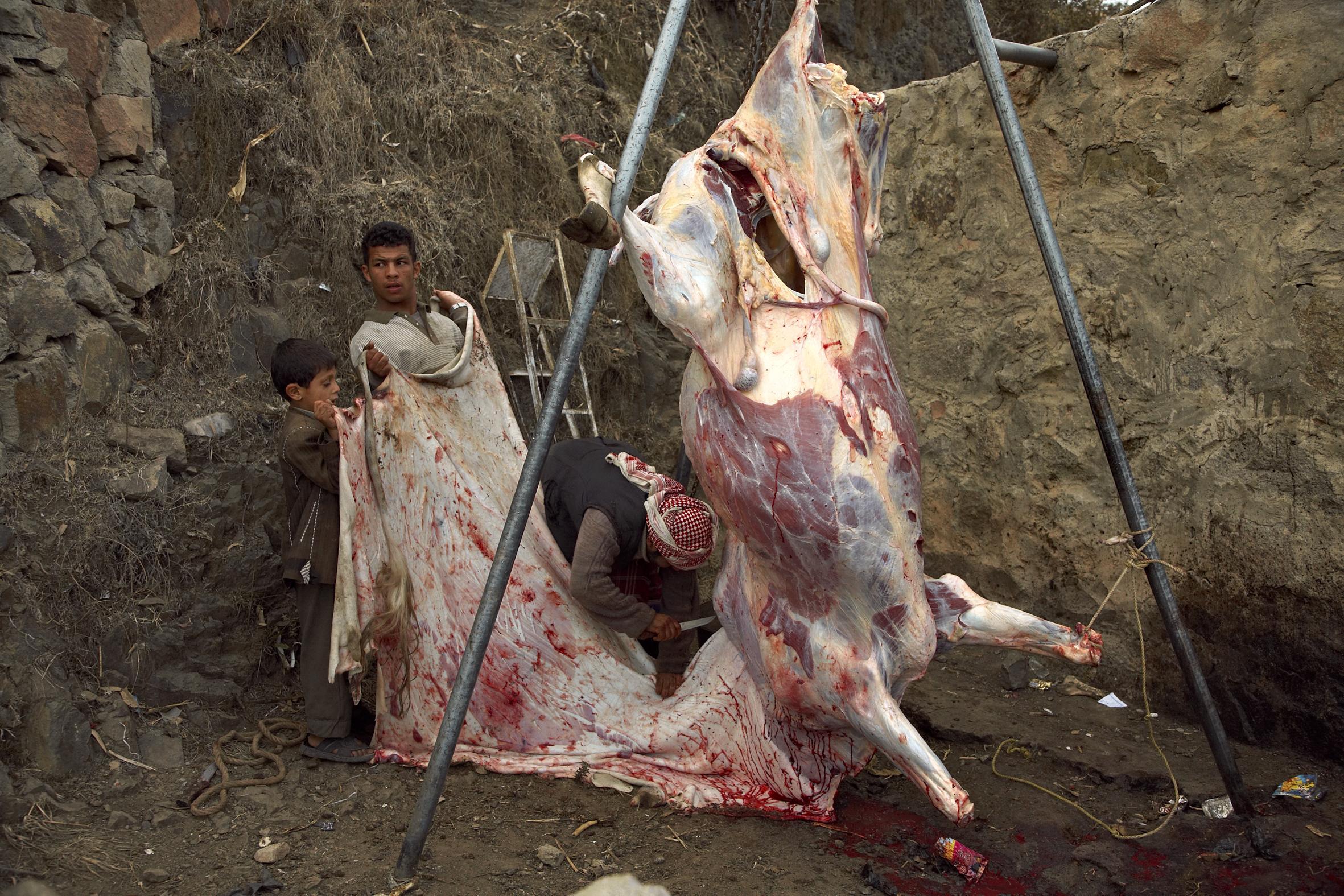 Yémen 2024 2006 Xavier Lambours