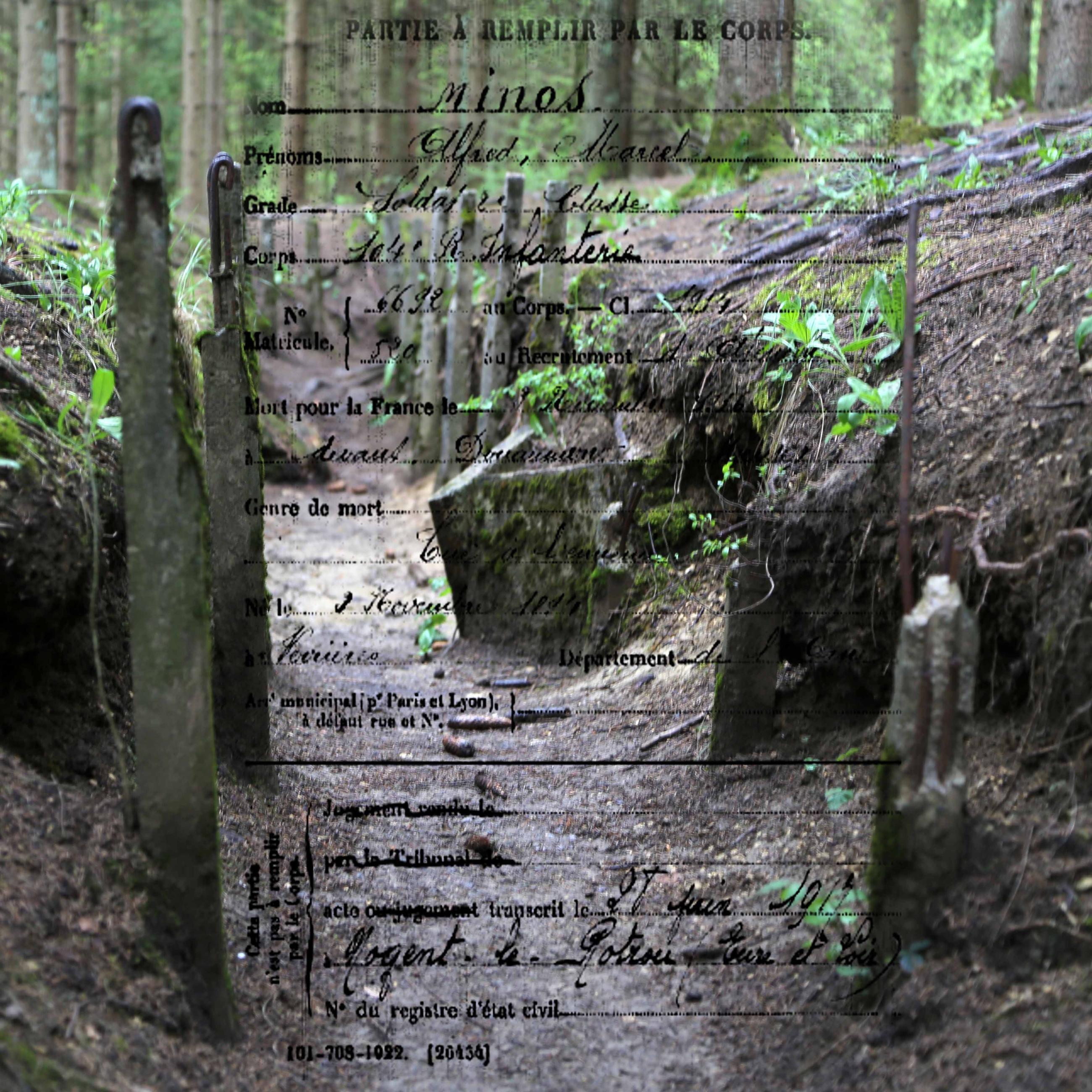 Mémoire de verre, mémoire de guerre Patrick Bard
