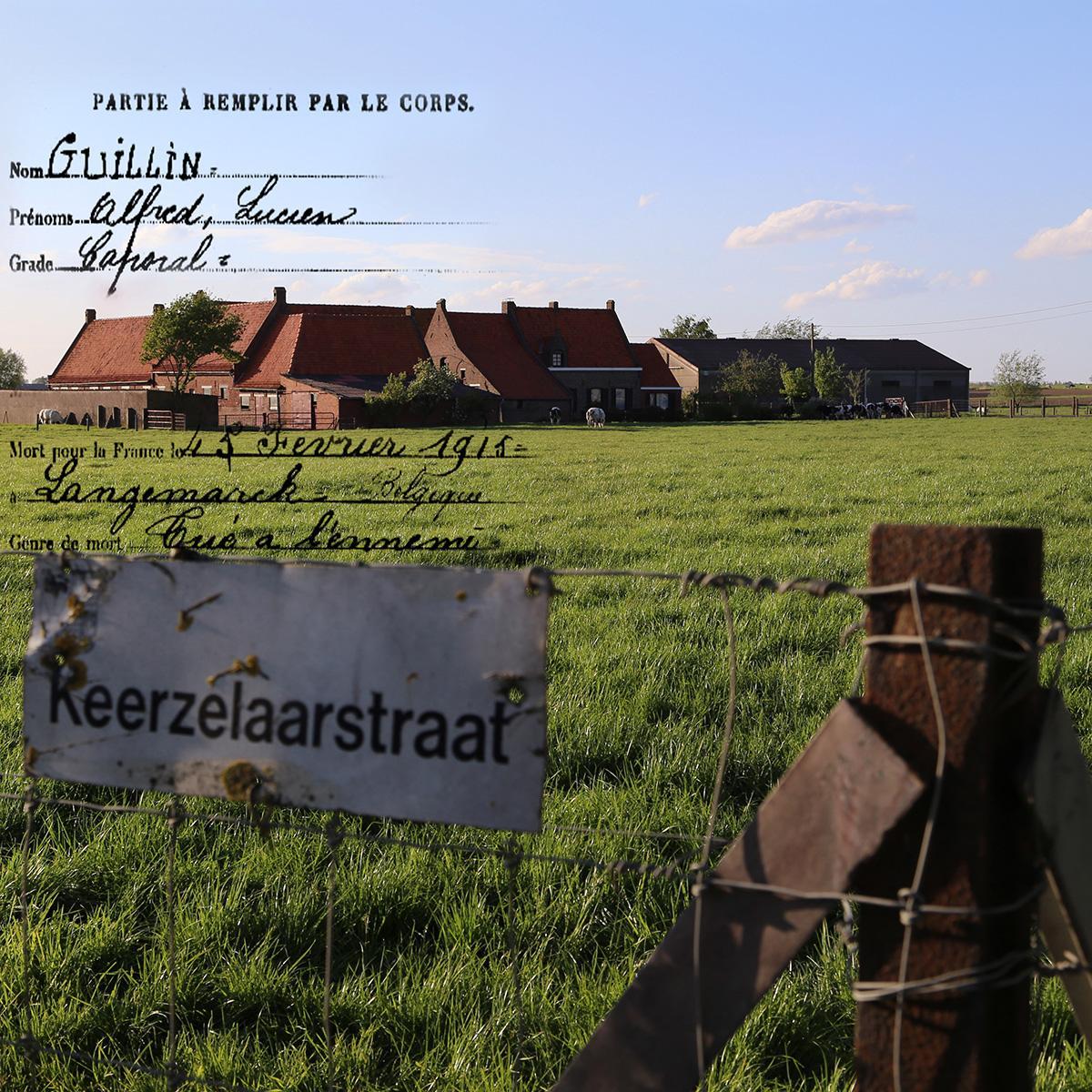 Mémoire de verre, mémoire de guerre Patrick Bard