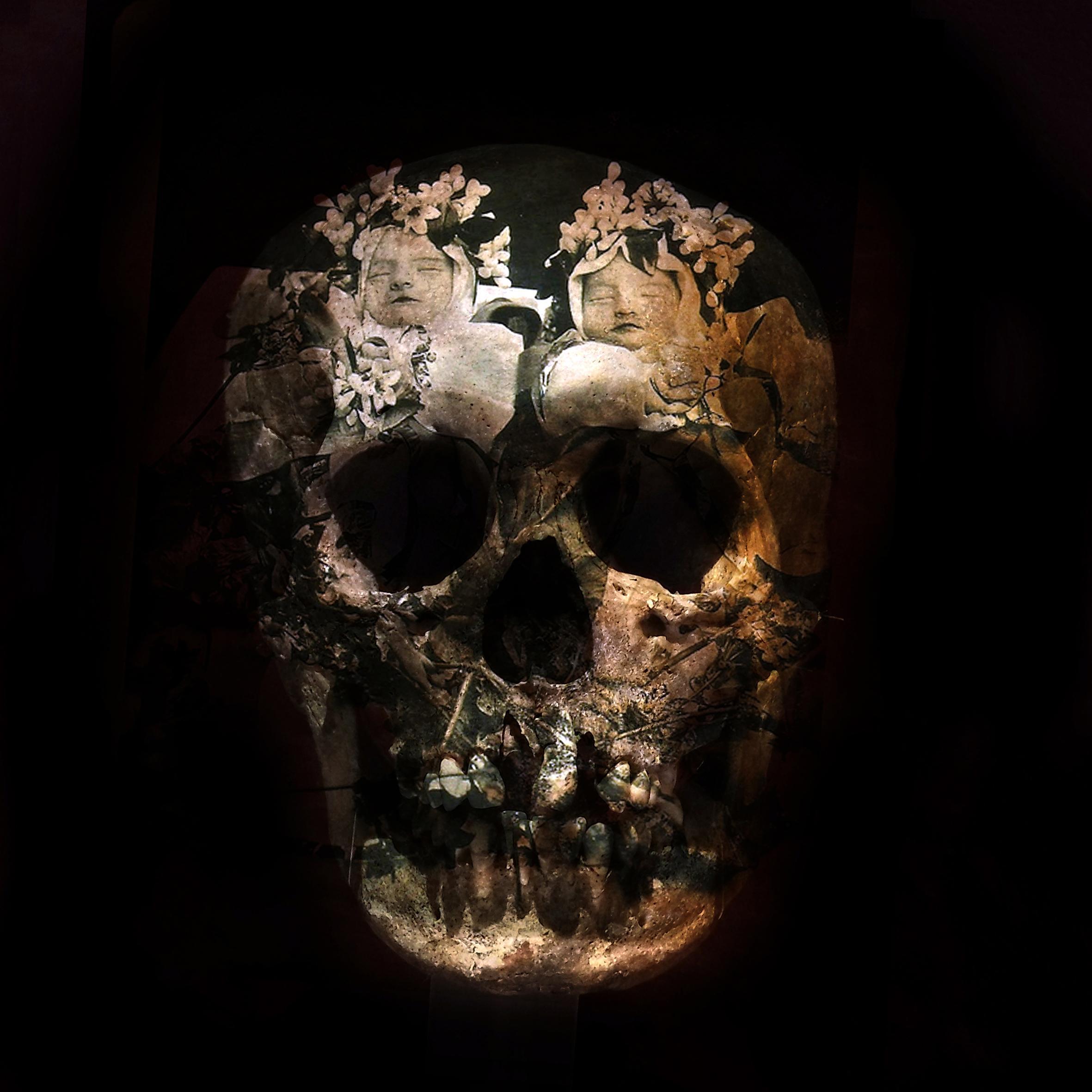 Calaveras Patrick Bard