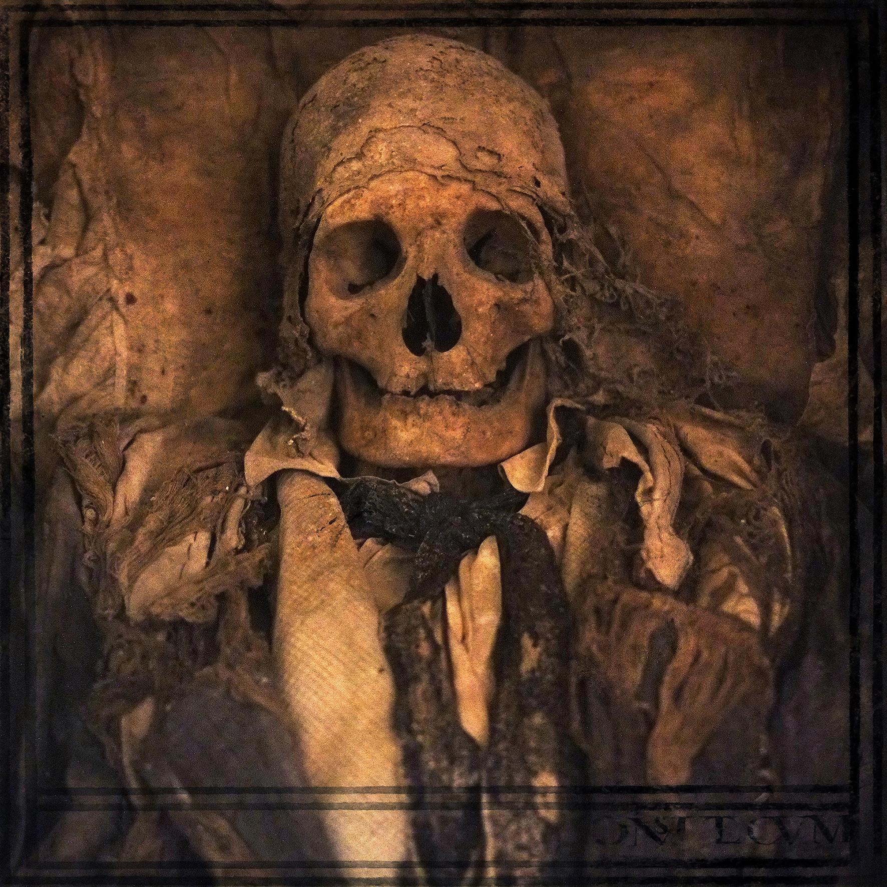 Calaveras Patrick Bard