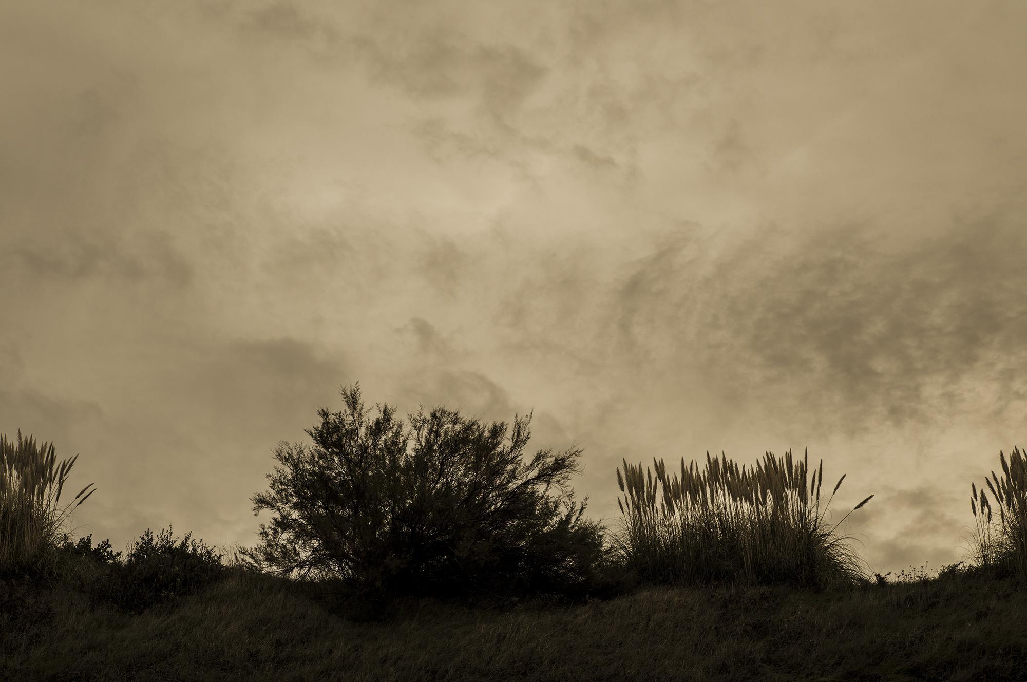 Après, la mer Thierry Borredon 