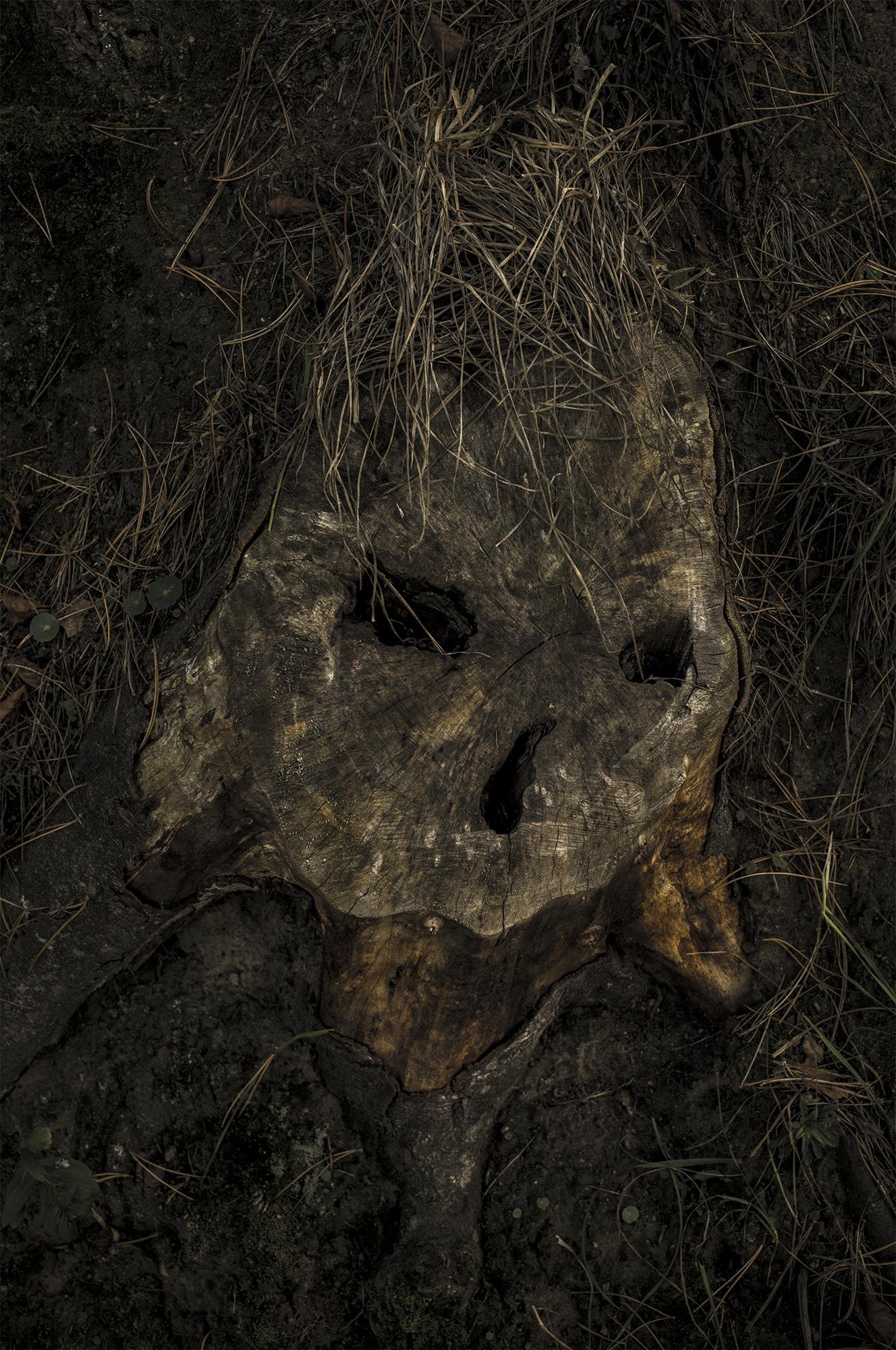 Après, la mer Thierry Borredon 