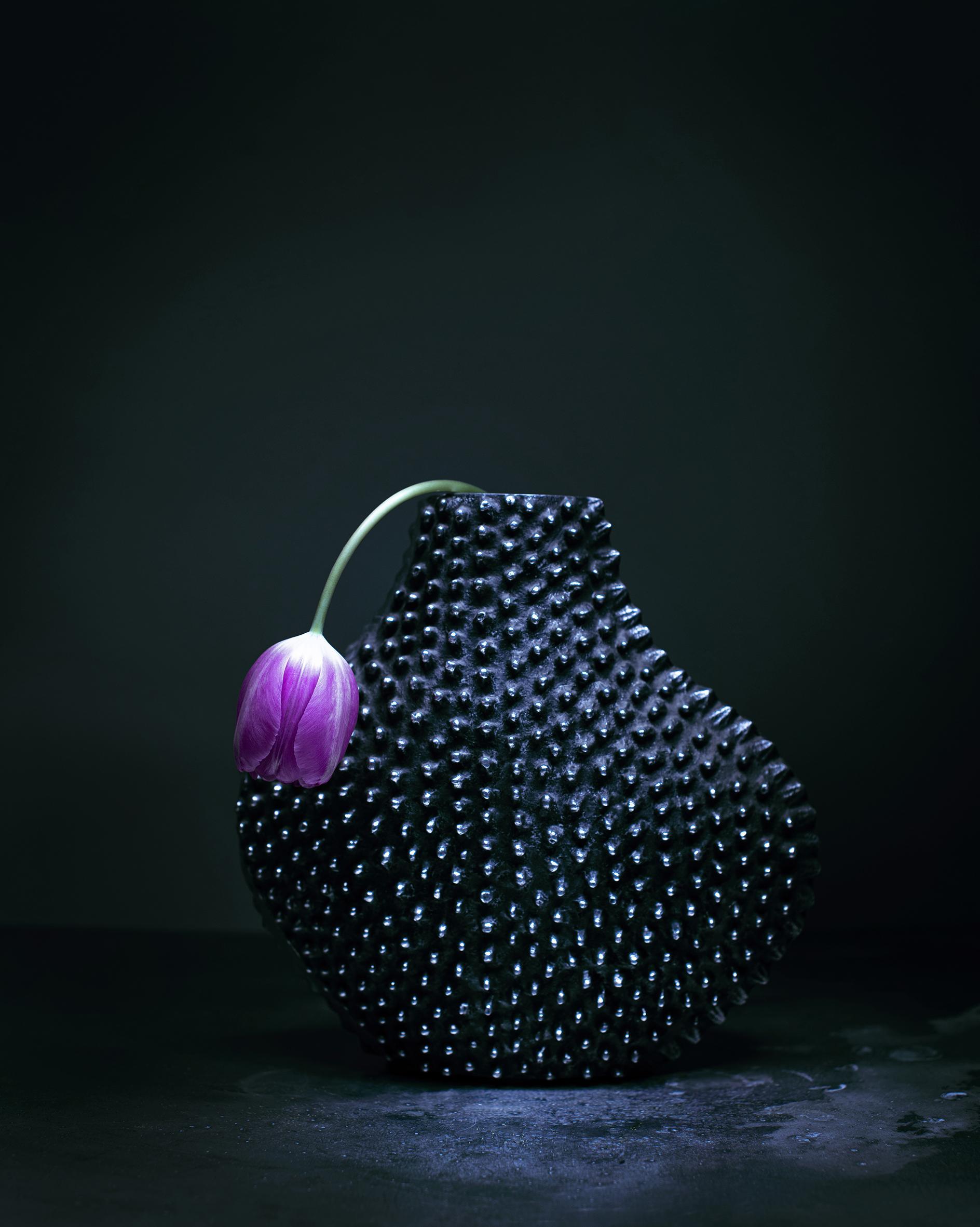 Dancing Tulips Joanna Tarlet Gauteur