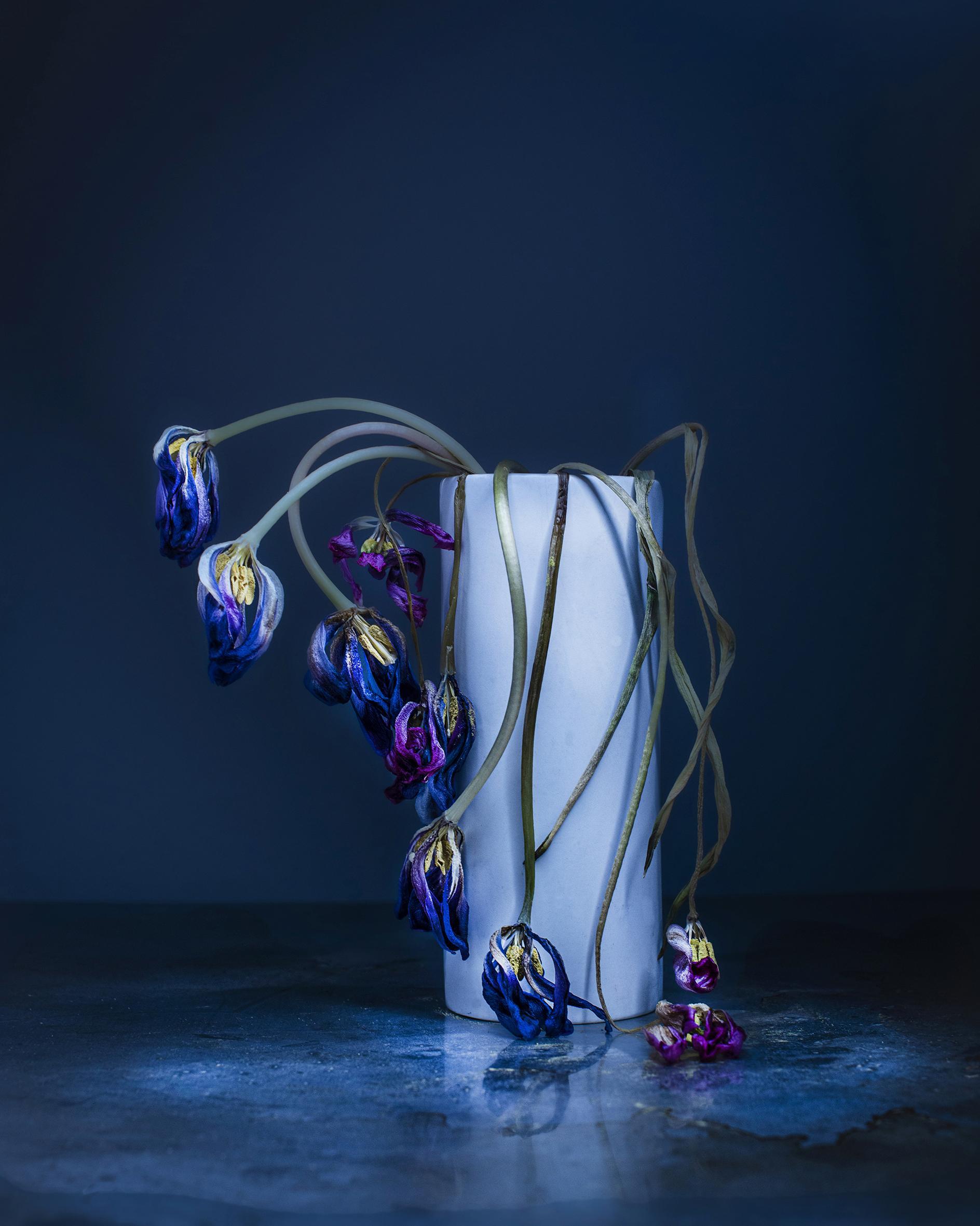 Dancing Tulips Joanna Tarlet Gauteur