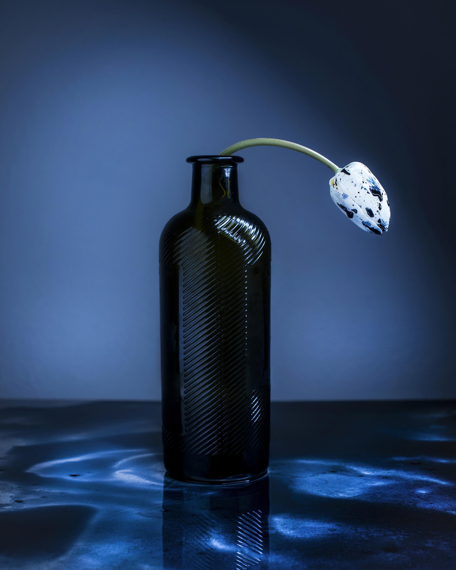 Dancing Tulips Joanna Tarlet Gauteur