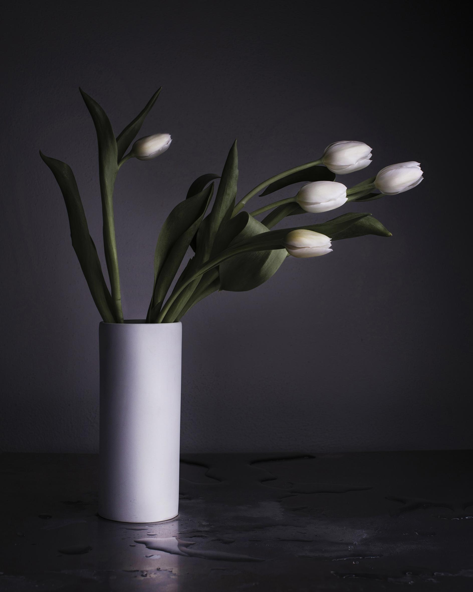 Dancing Tulips Joanna Tarlet Gauteur