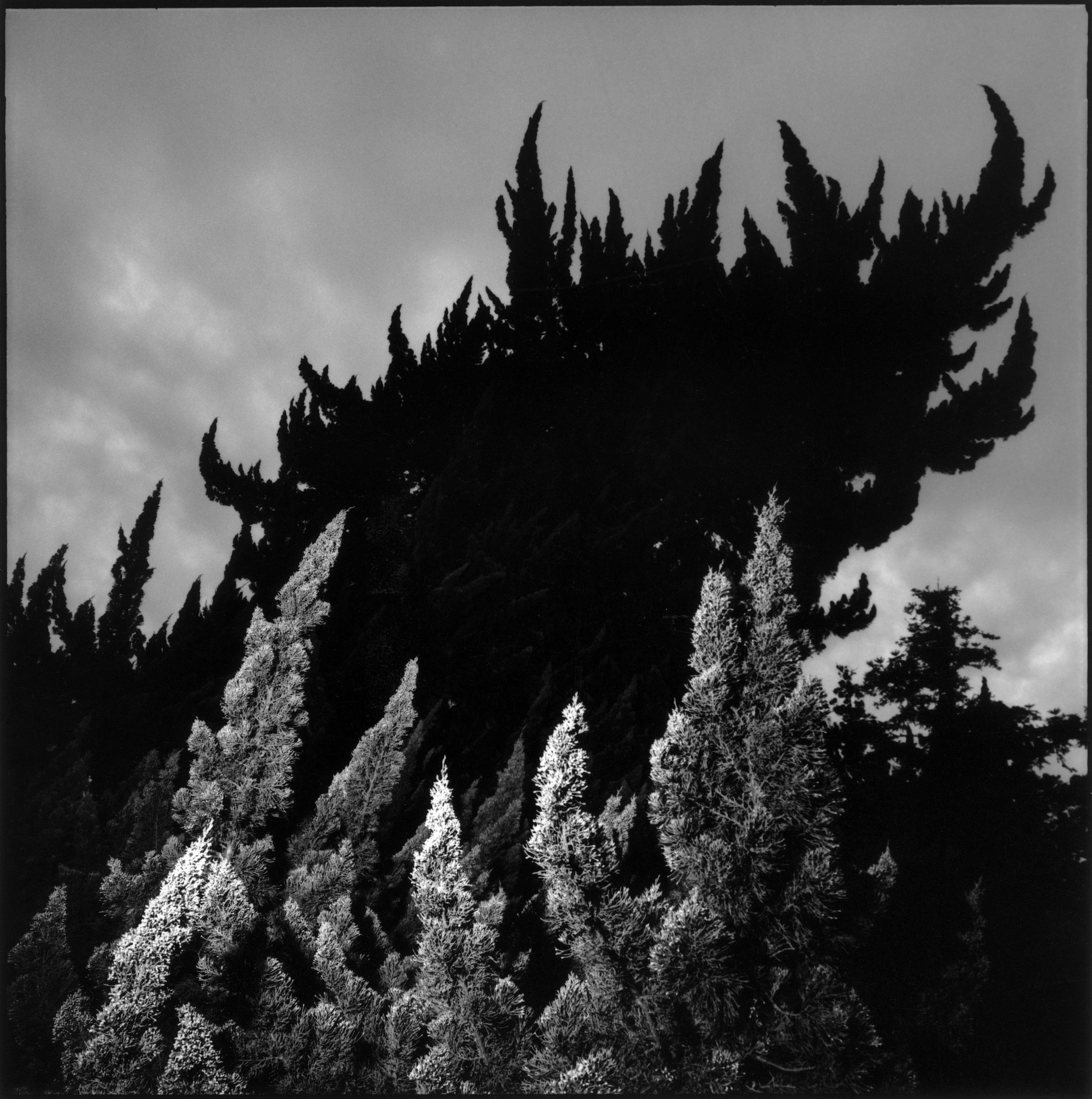 Gaijin story Xavier Lambours 