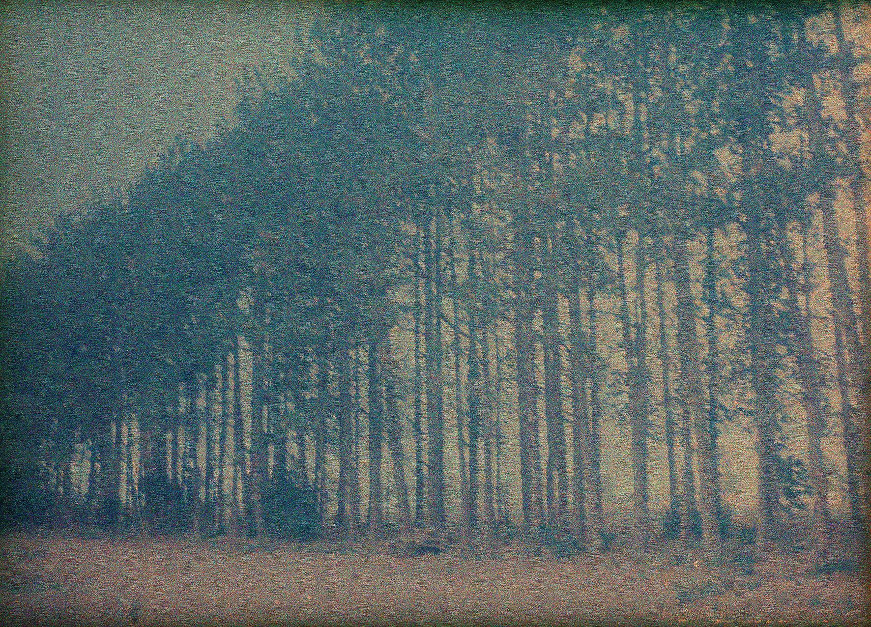 Les Doutes Arno Brignon