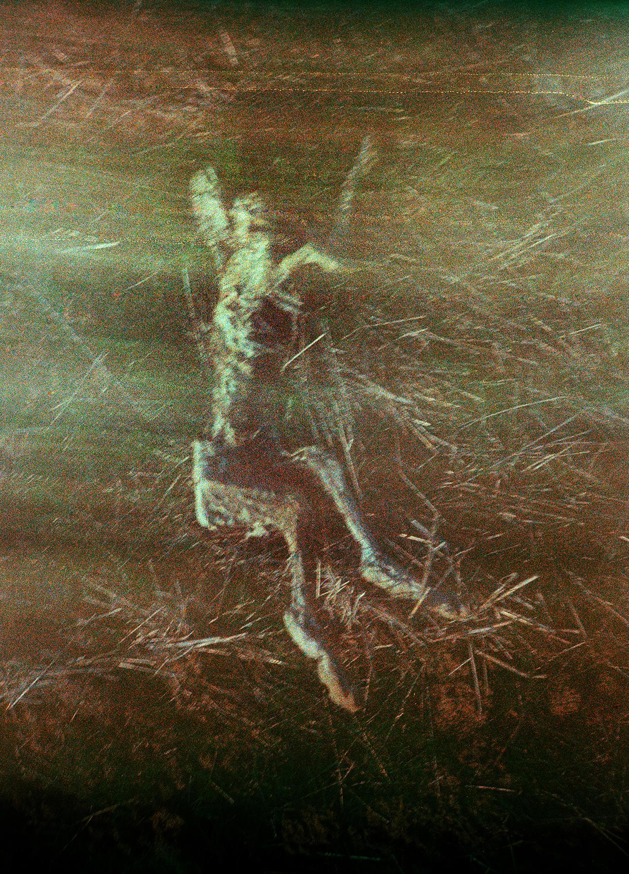 Les Doutes Arno Brignon