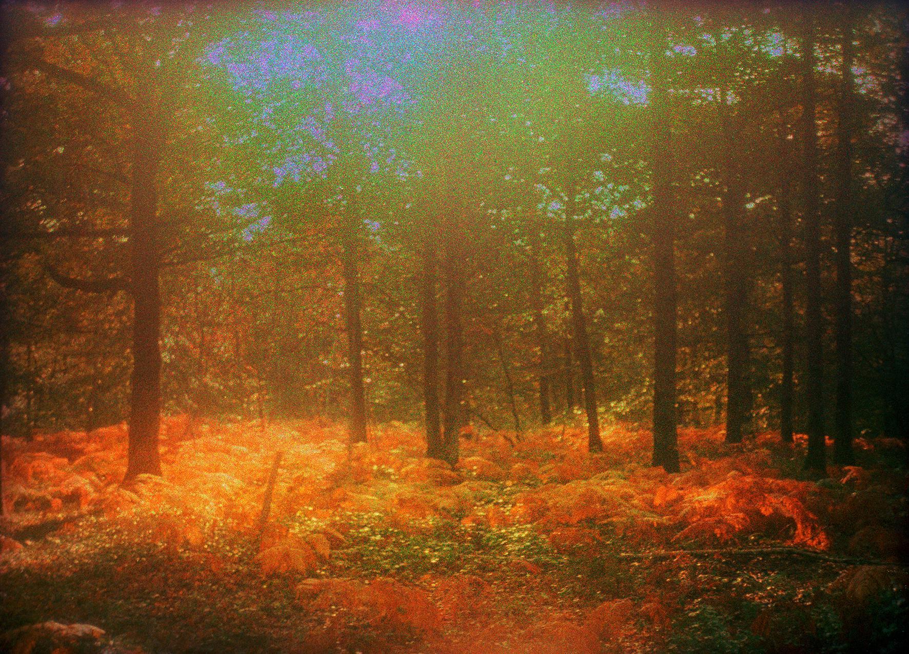 Les Doutes Arno Brignon