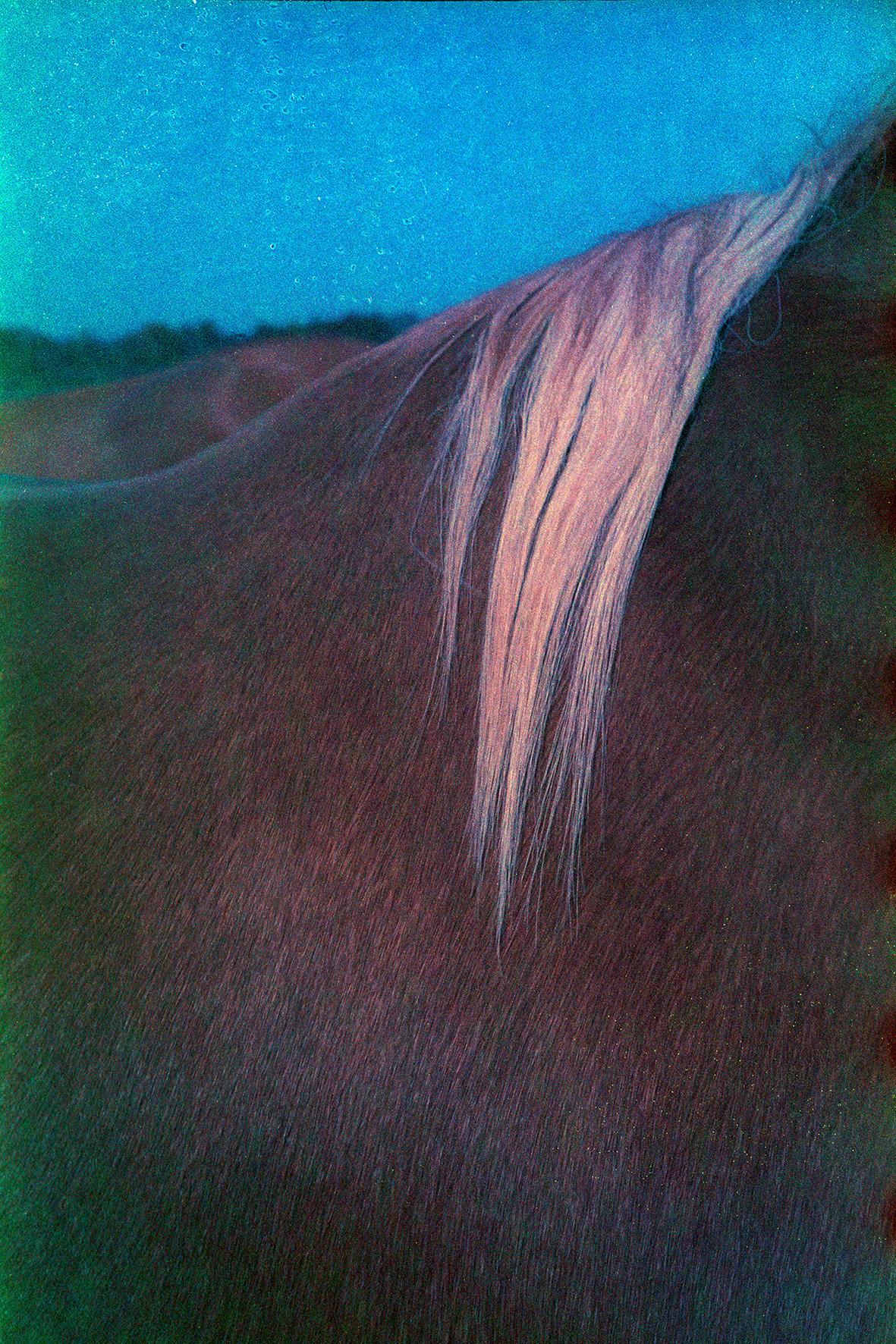 Les Doutes Arno Brignon