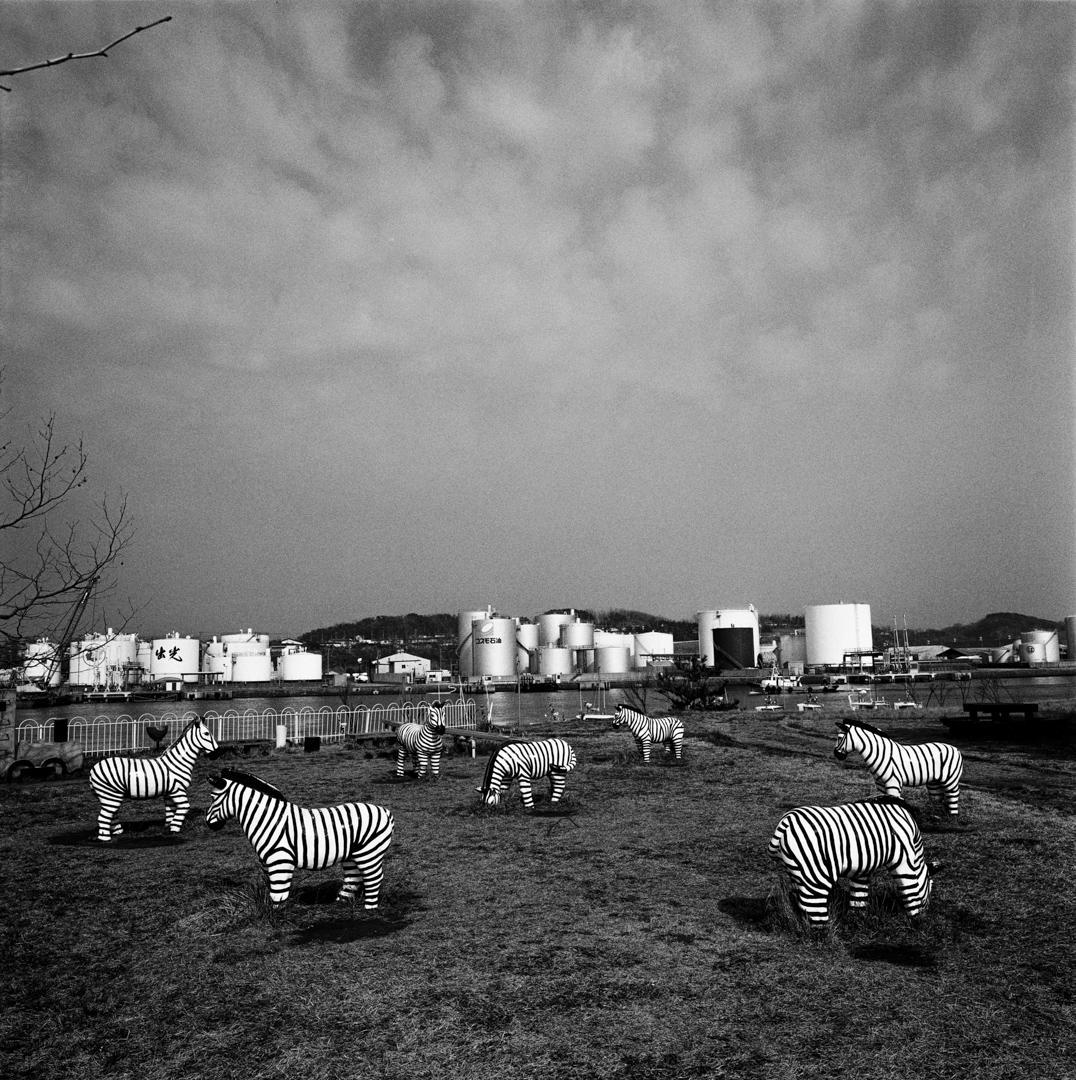 Gaijin story Xavier Lambours 