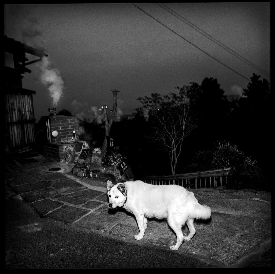 Gaijin story Xavier Lambours 