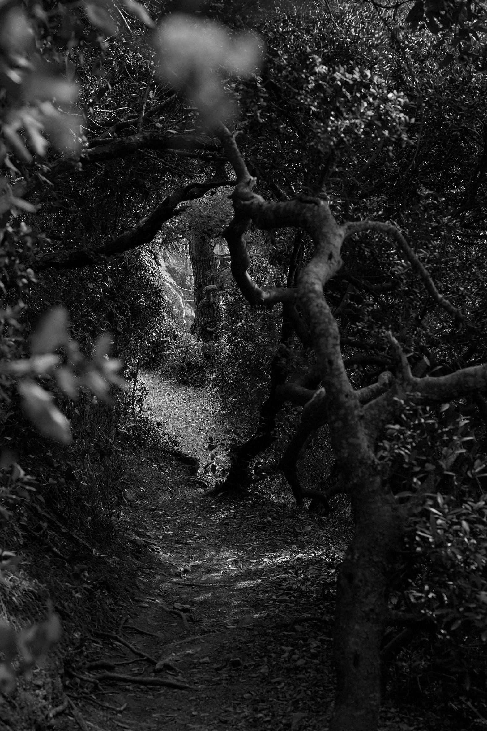 Insulaire, sur les traces de Saint-John Perse Sandrine Expilly