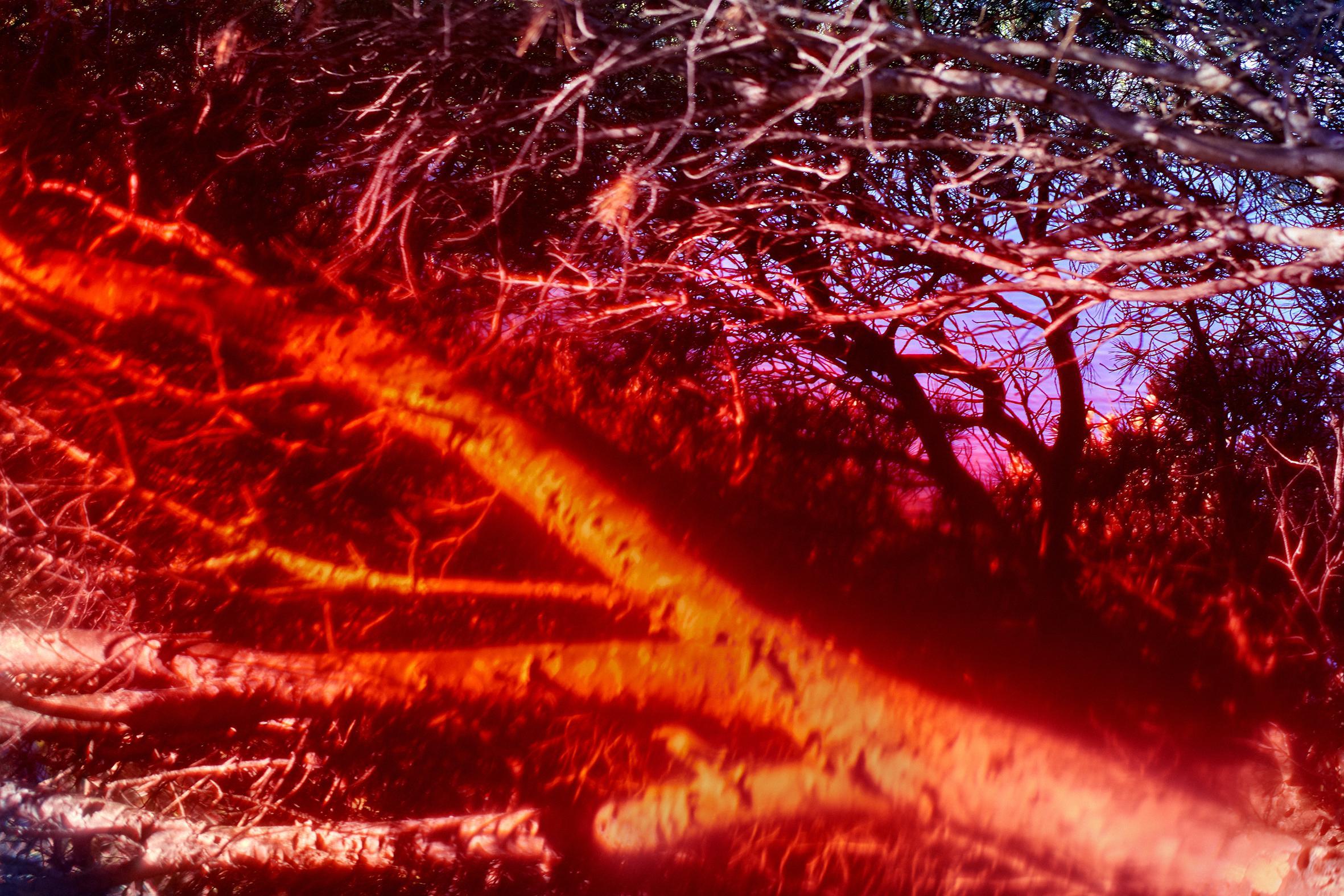 Insulaire, sur les traces de Saint-John Perse Sandrine Expilly