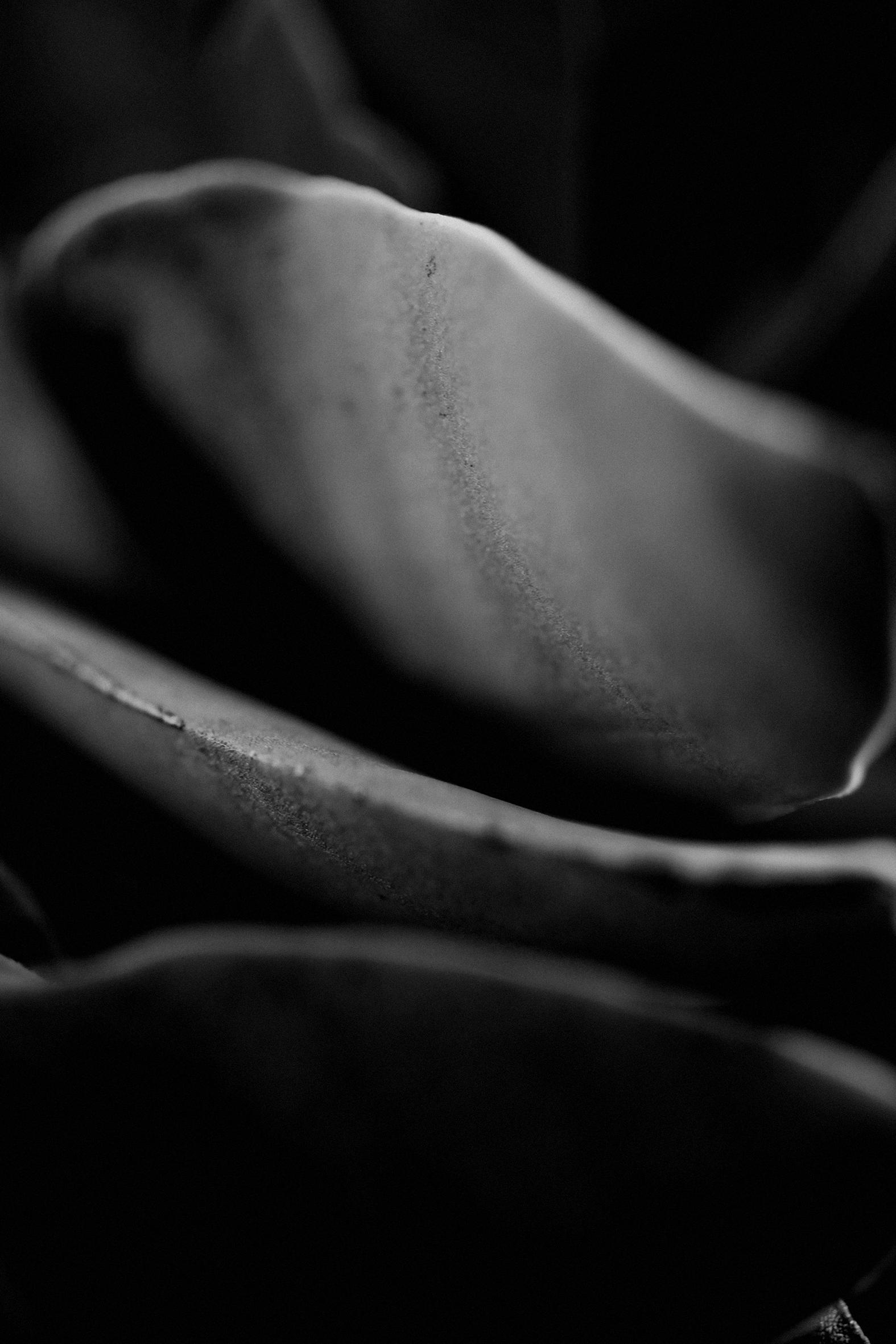 Insulaire, sur les traces de Saint-John Perse Sandrine Expilly