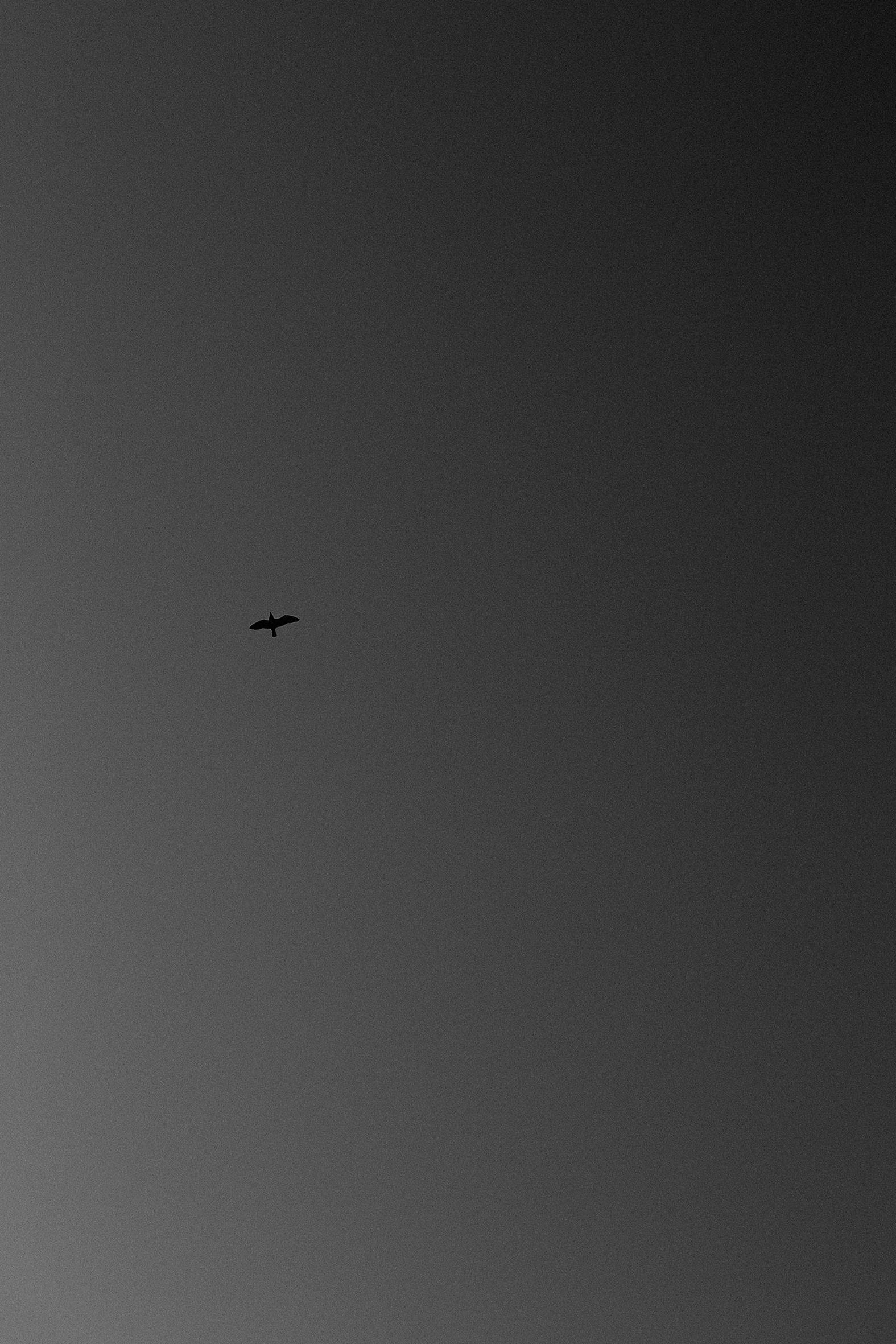 Insulaire, sur les traces de Saint-John Perse Sandrine Expilly