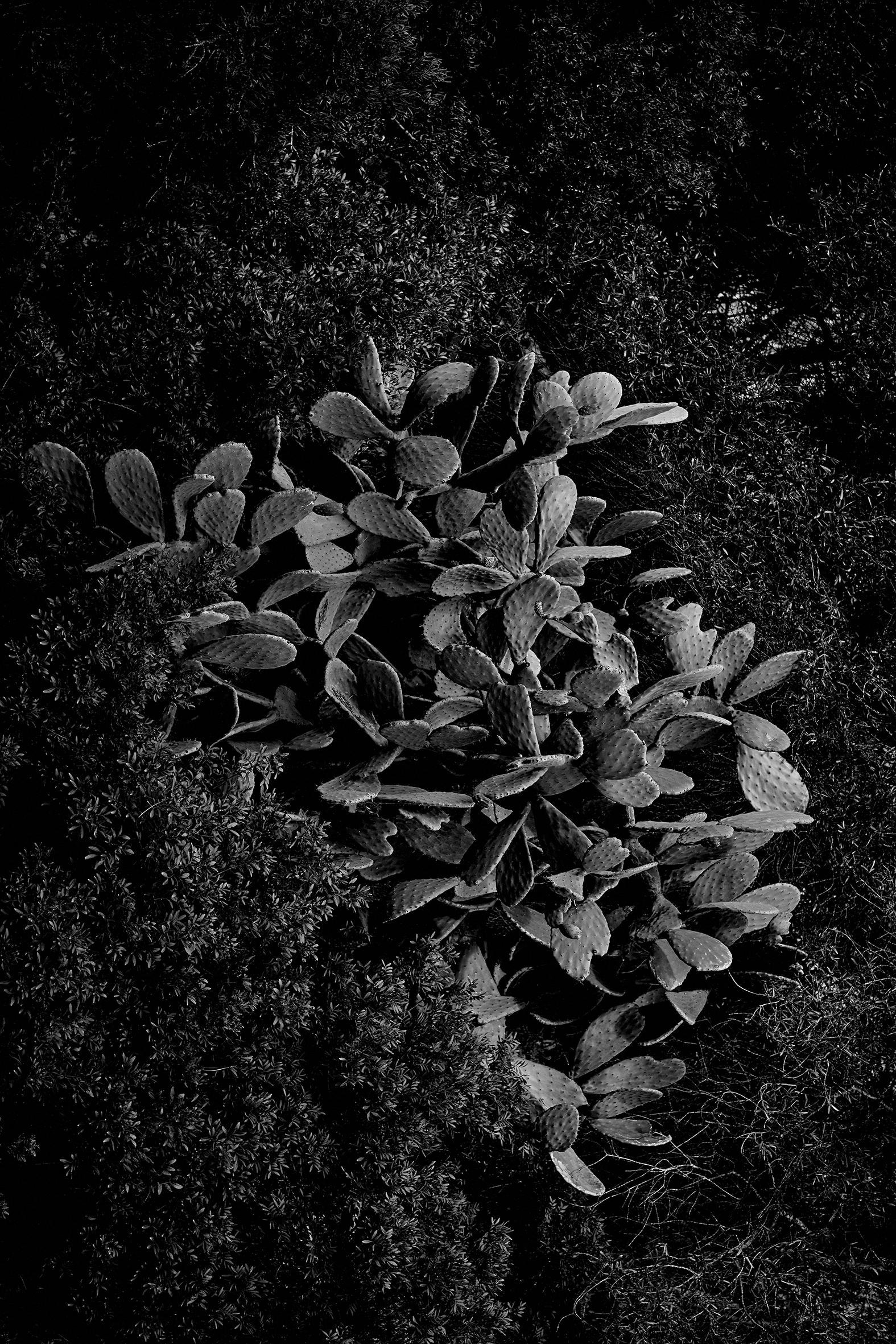 Insulaire, sur les traces de Saint-John Perse Sandrine Expilly