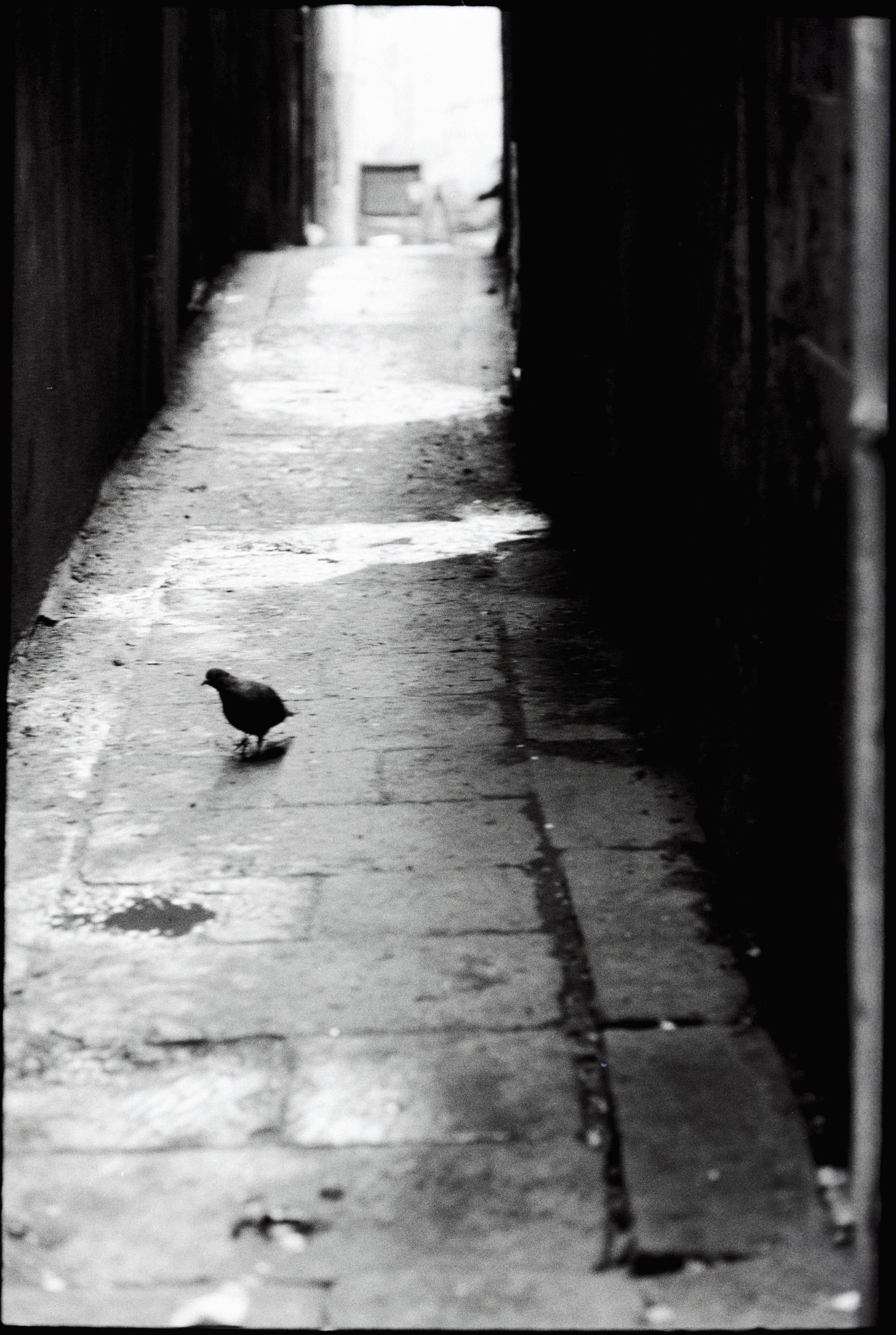 Le voyage en Italie Carole Bellaïche