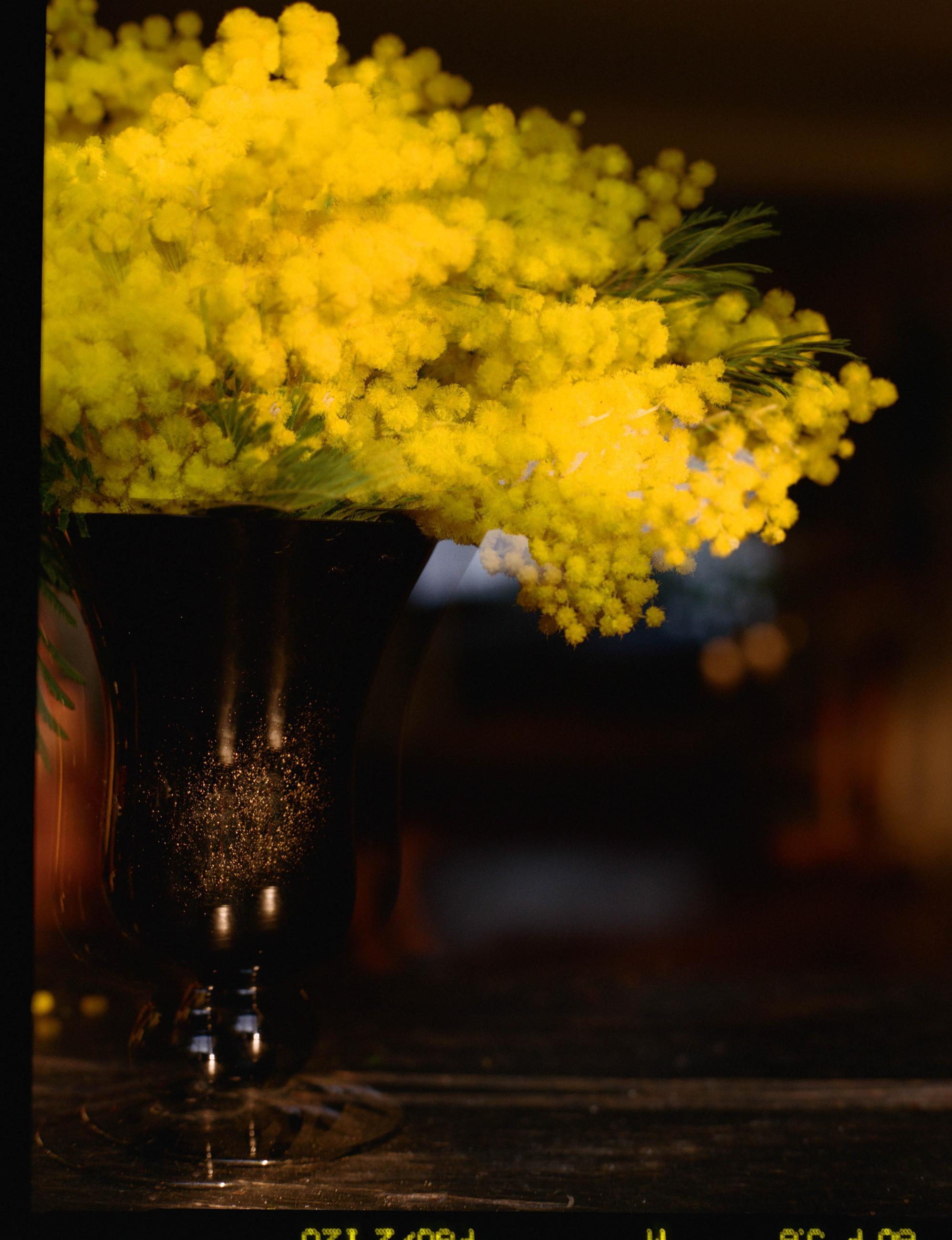 Fleurs et jardins Carole Bellaïche