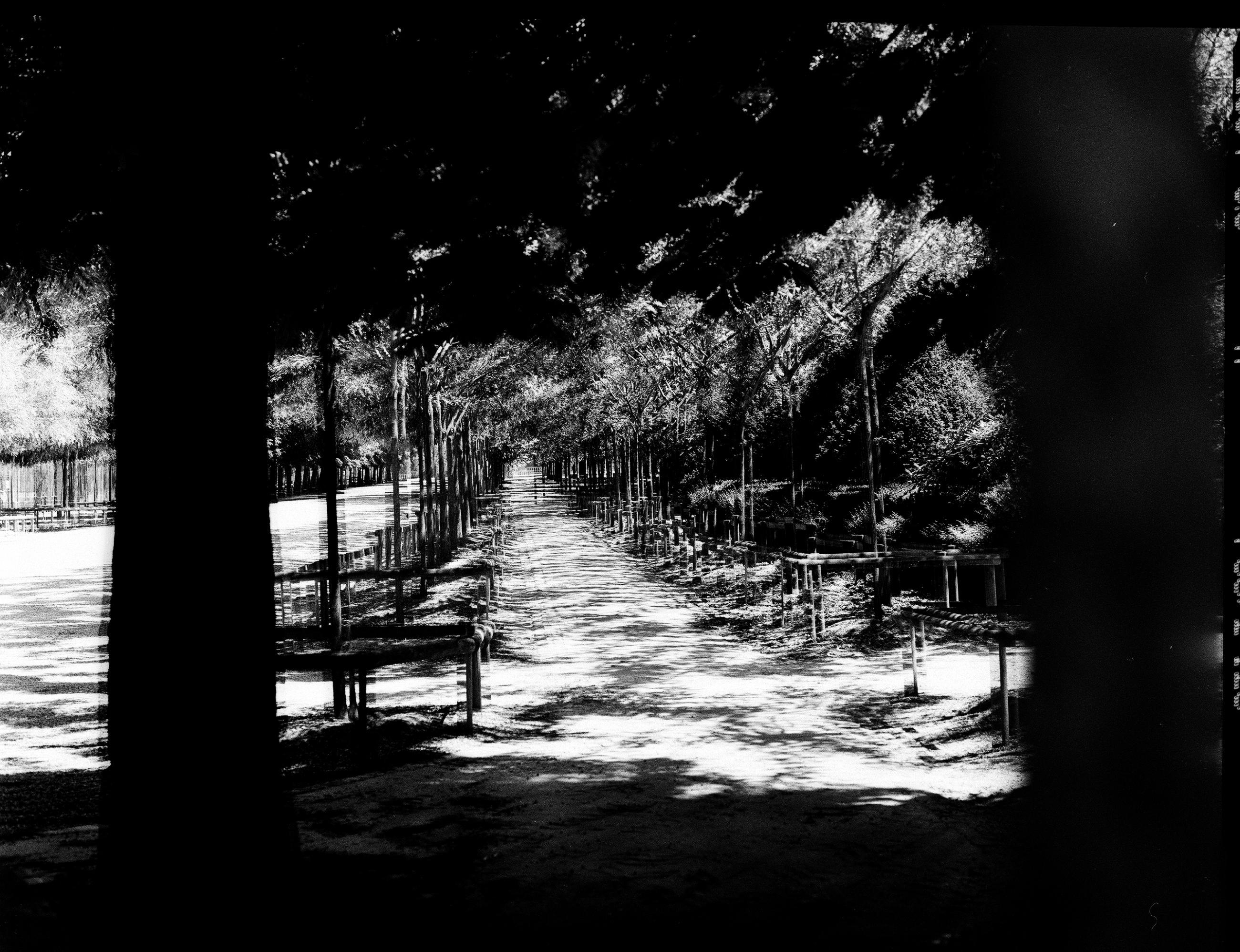 Fleurs et jardins Carole Bellaïche