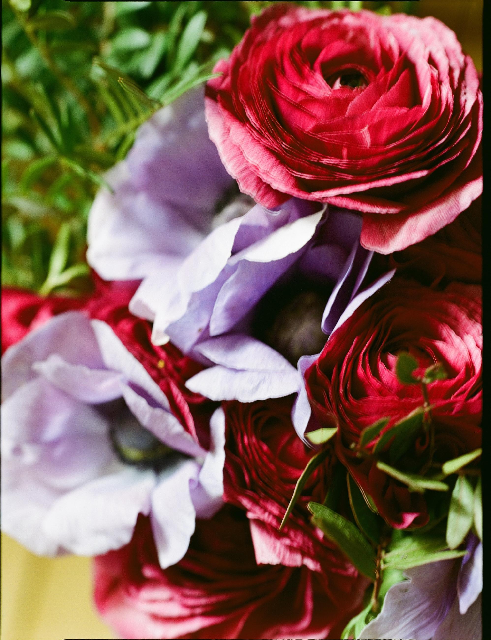 Fleurs et jardins Carole Bellaïche