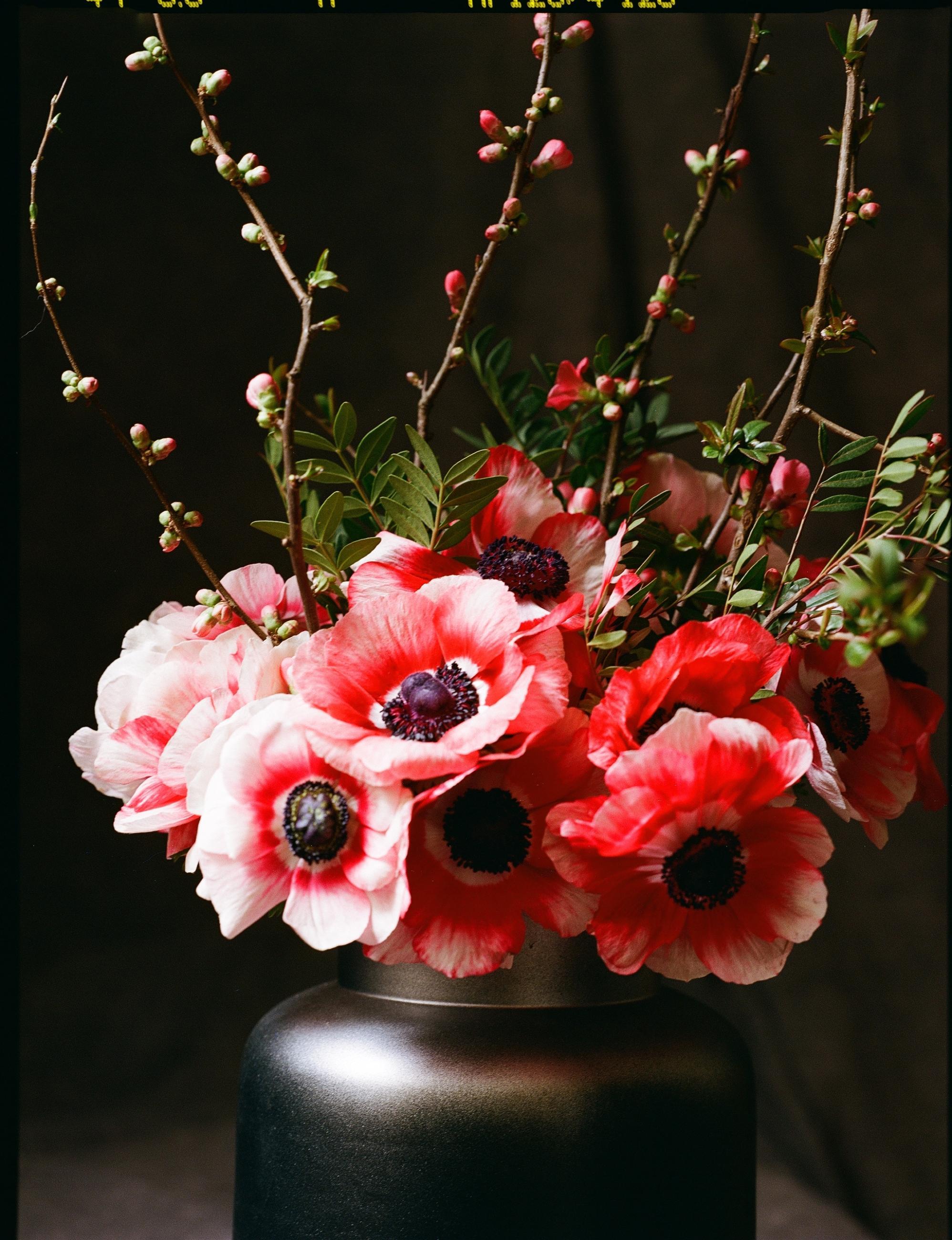 Fleurs et jardins Carole Bellaïche