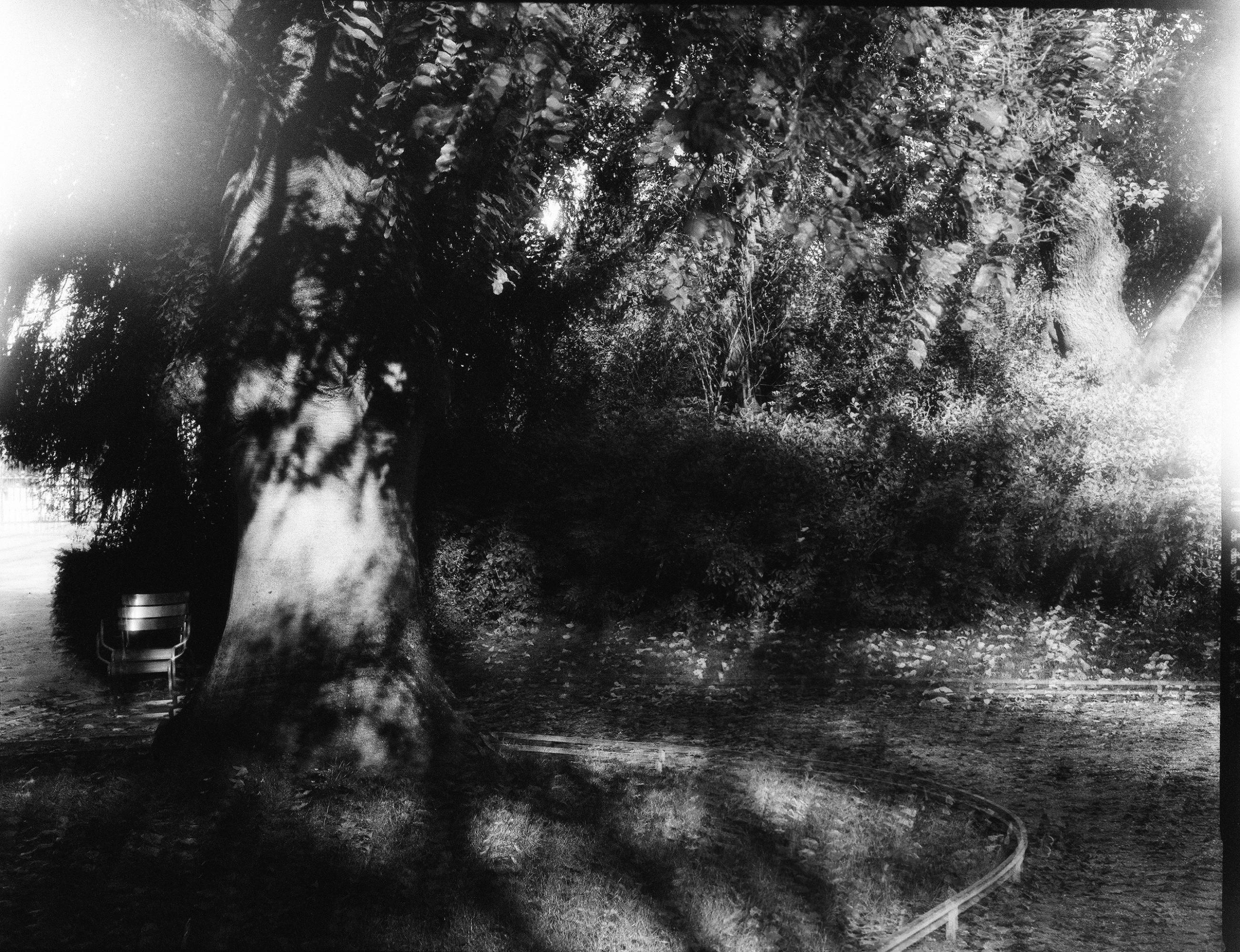 Fleurs et jardins Carole Bellaïche